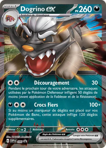 Dogrino ex promo SVP 086