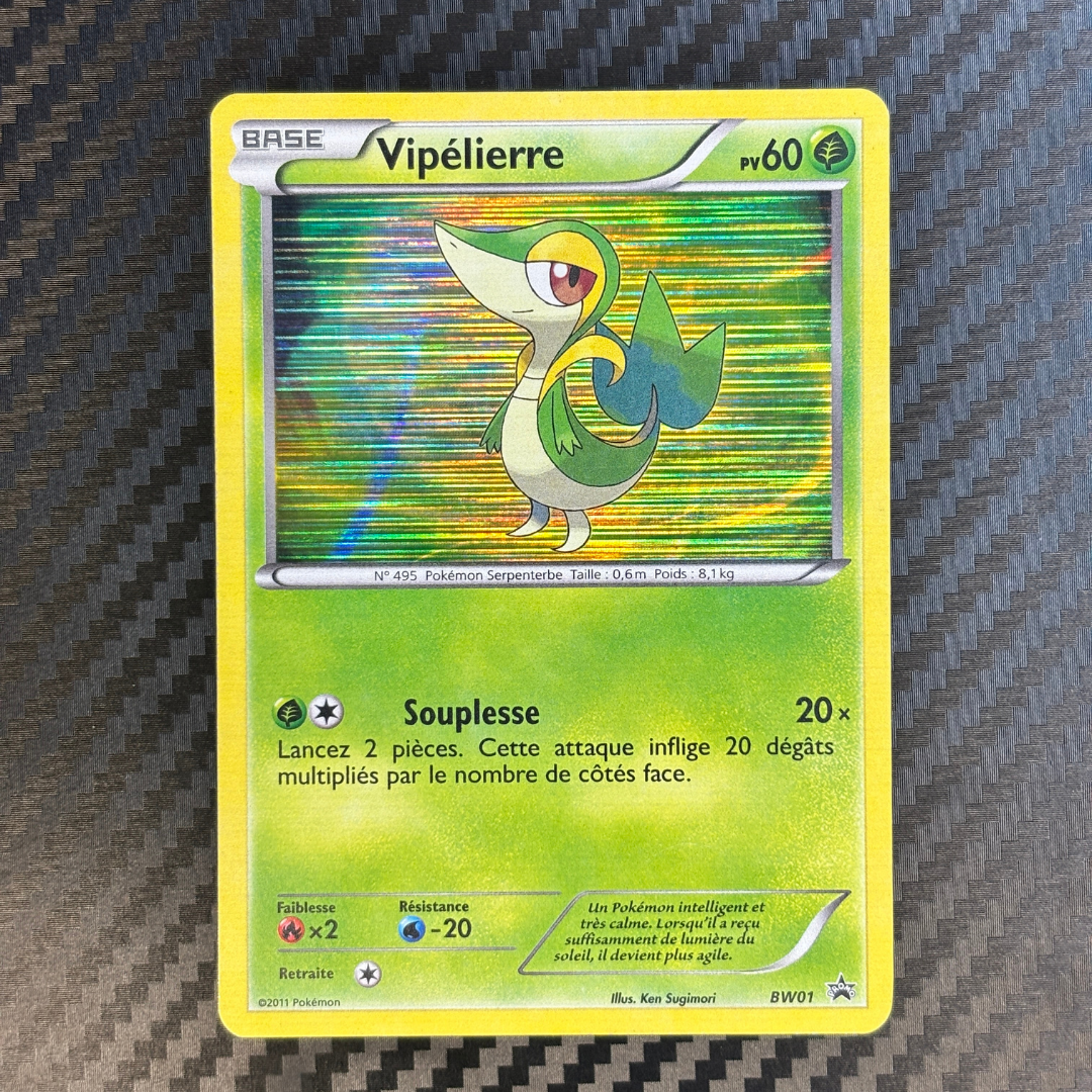 Vipelierre BW01 – NM
