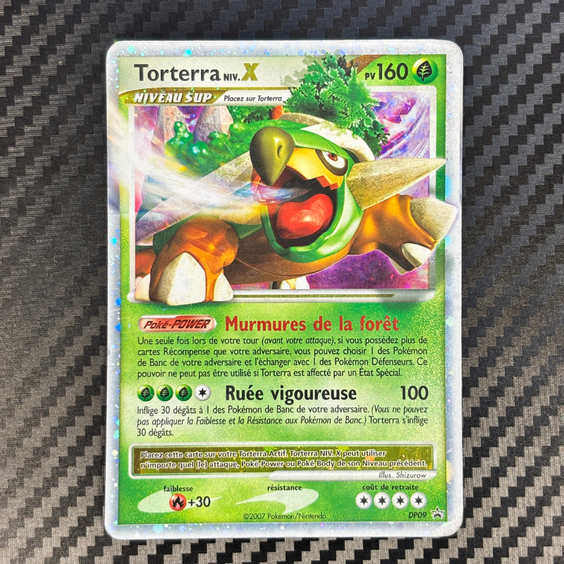 Torterra niv X DP09 – EXC