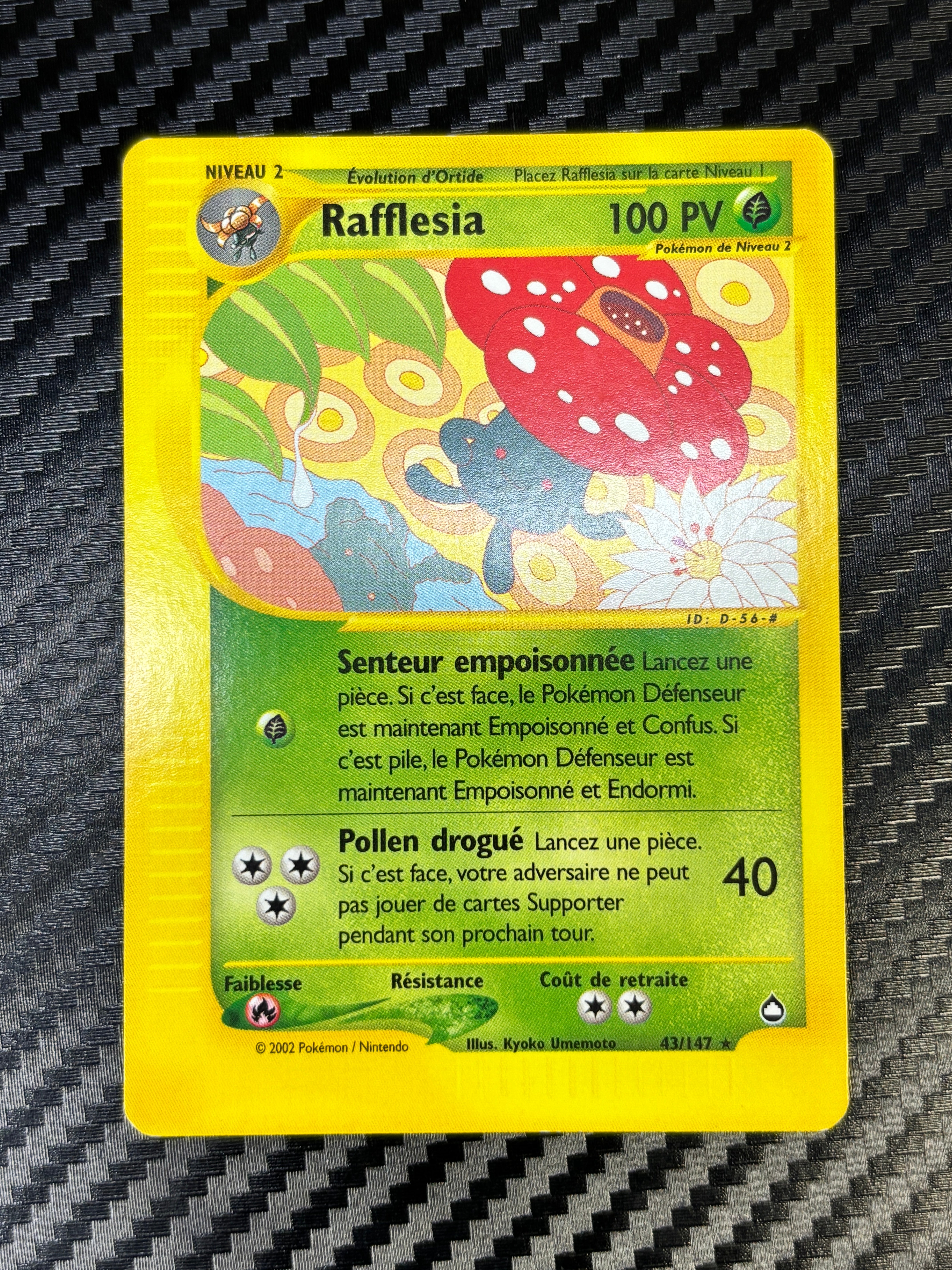 Rafflesia 43/147 - Aquapolis - NM
