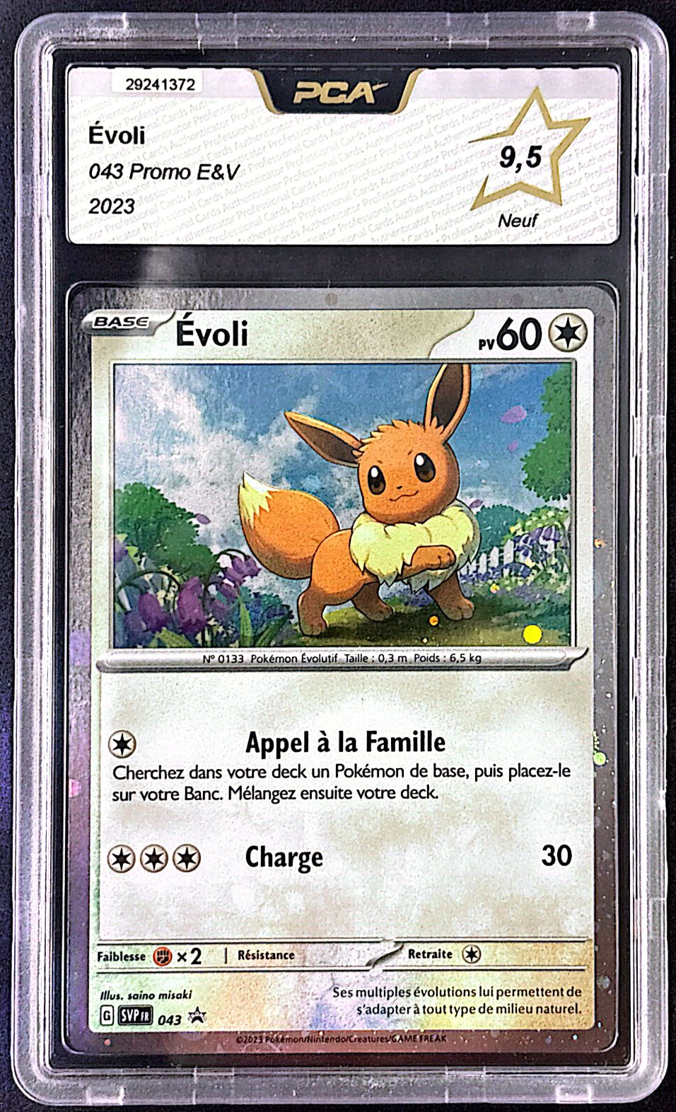 Evoli SVP 043 PCA 9,5