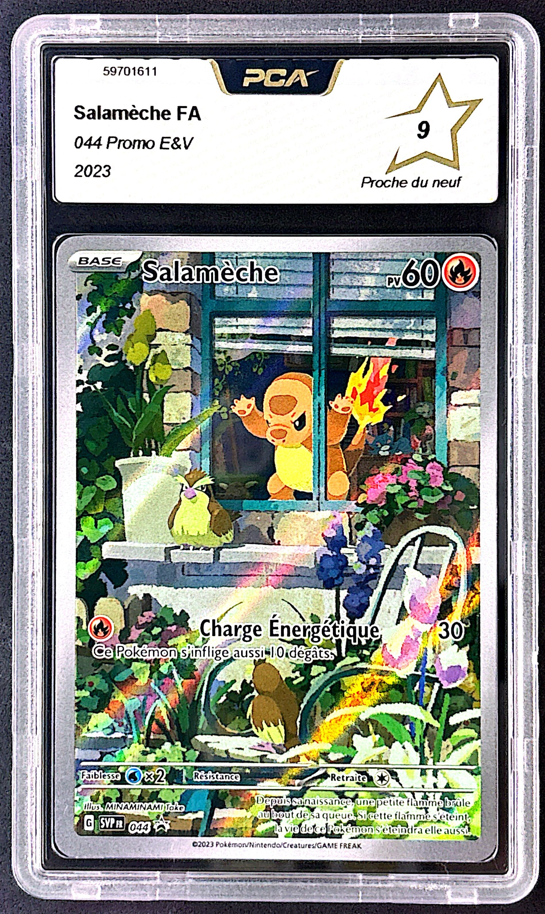 Salameche svp 044 PCA 9