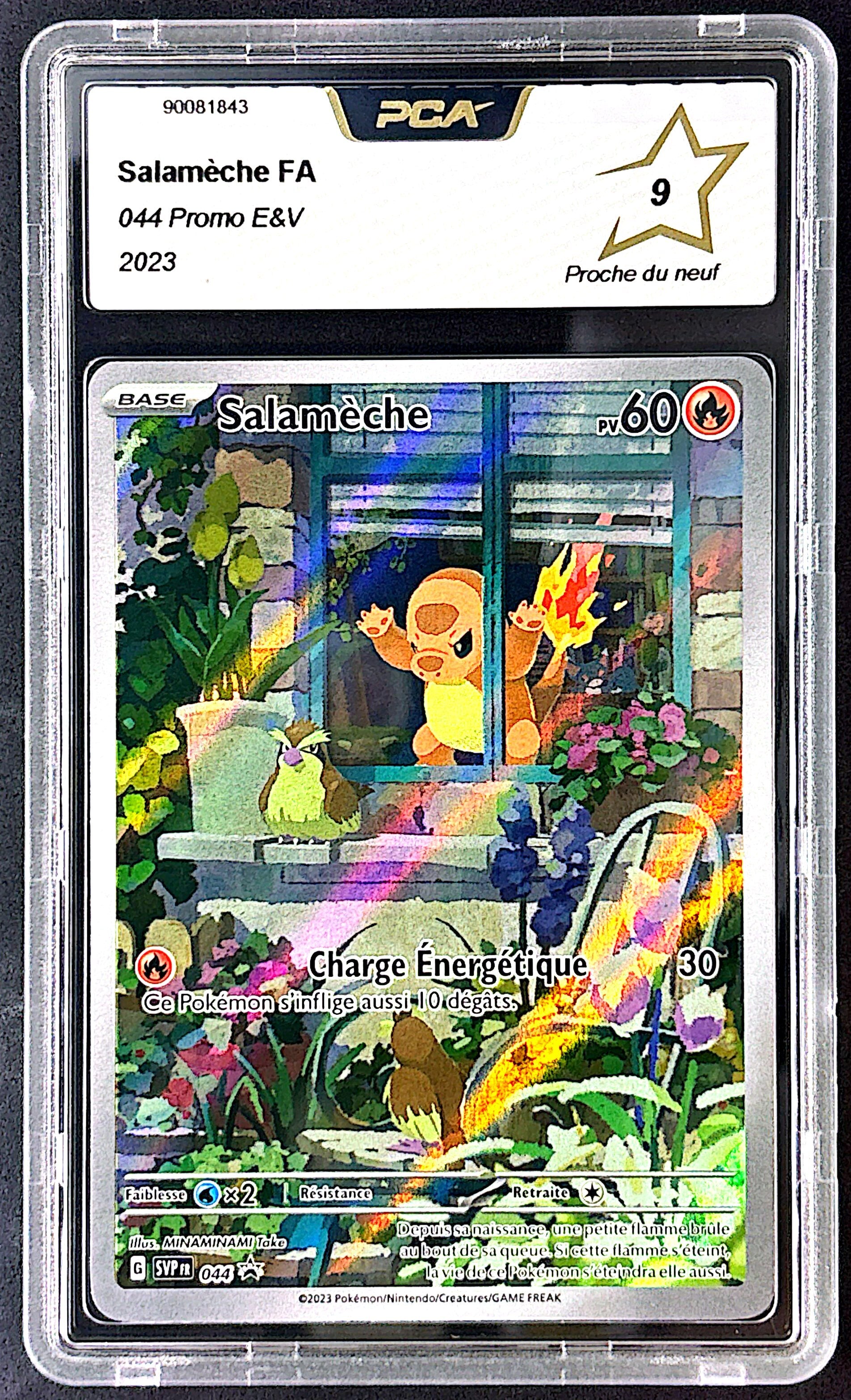 Salameche svp 044 PCA 9 #2