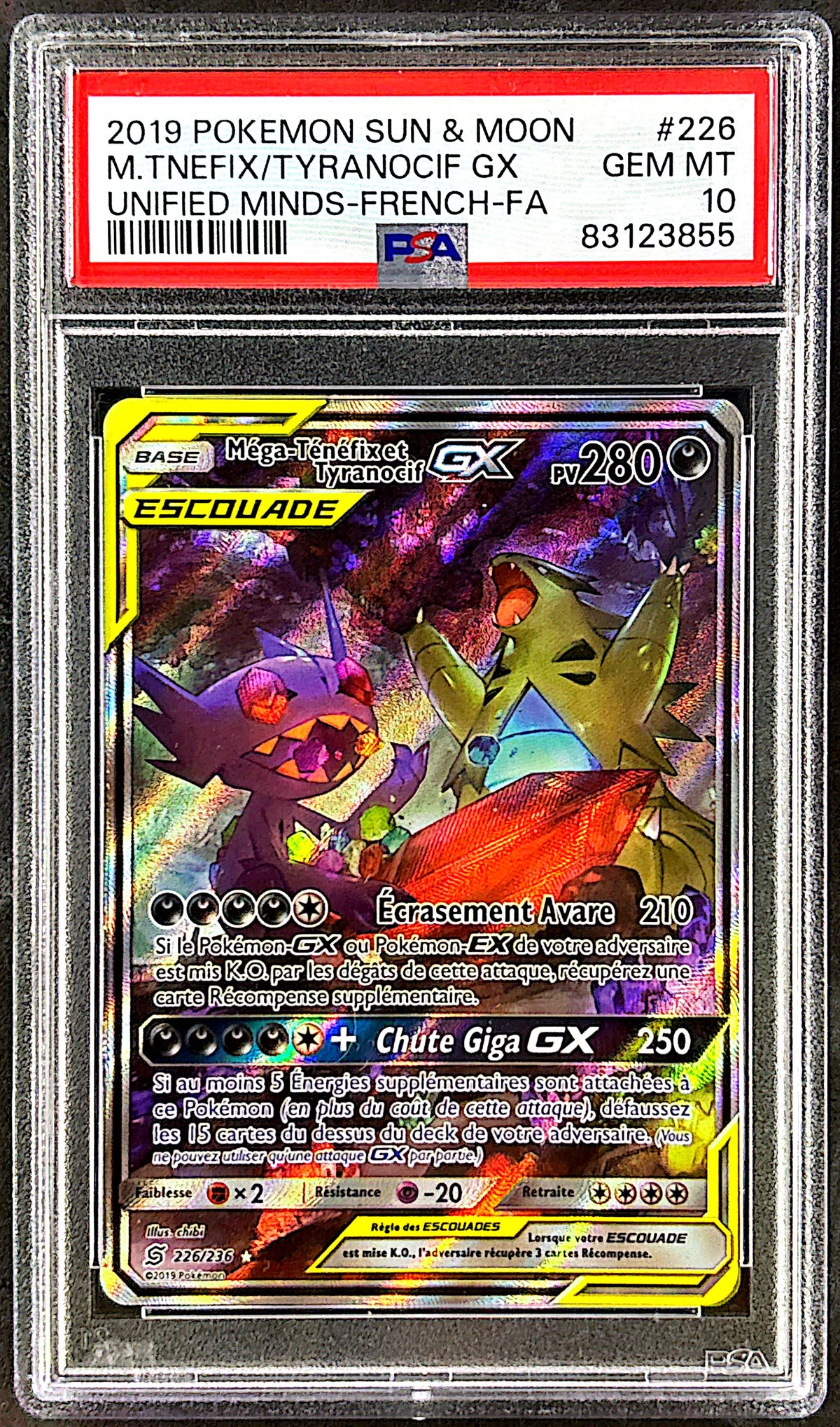 Mega Tenefix et Tyranocif PSA 10