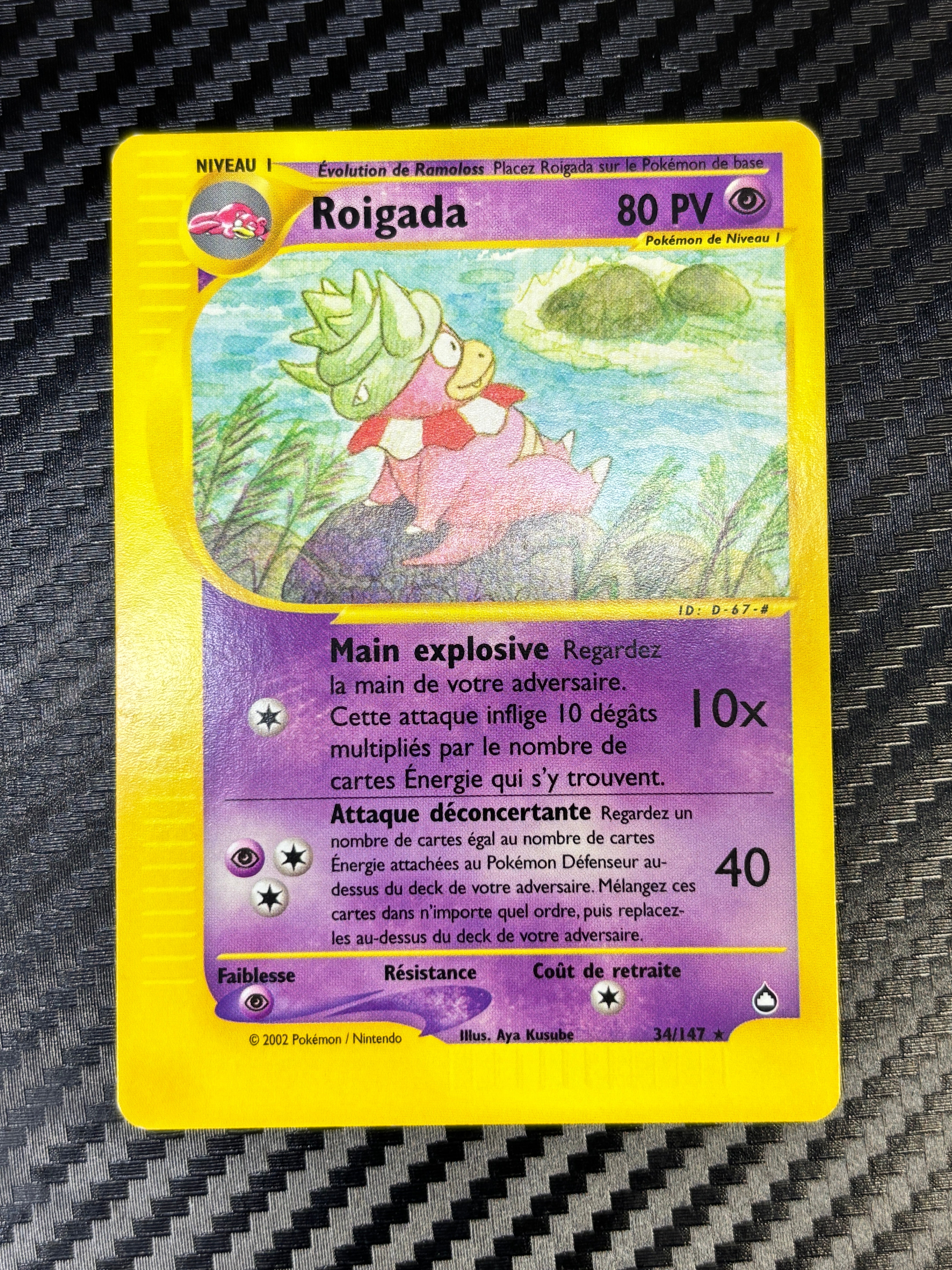 Roigada 34/147 - Aquapolis - NM
