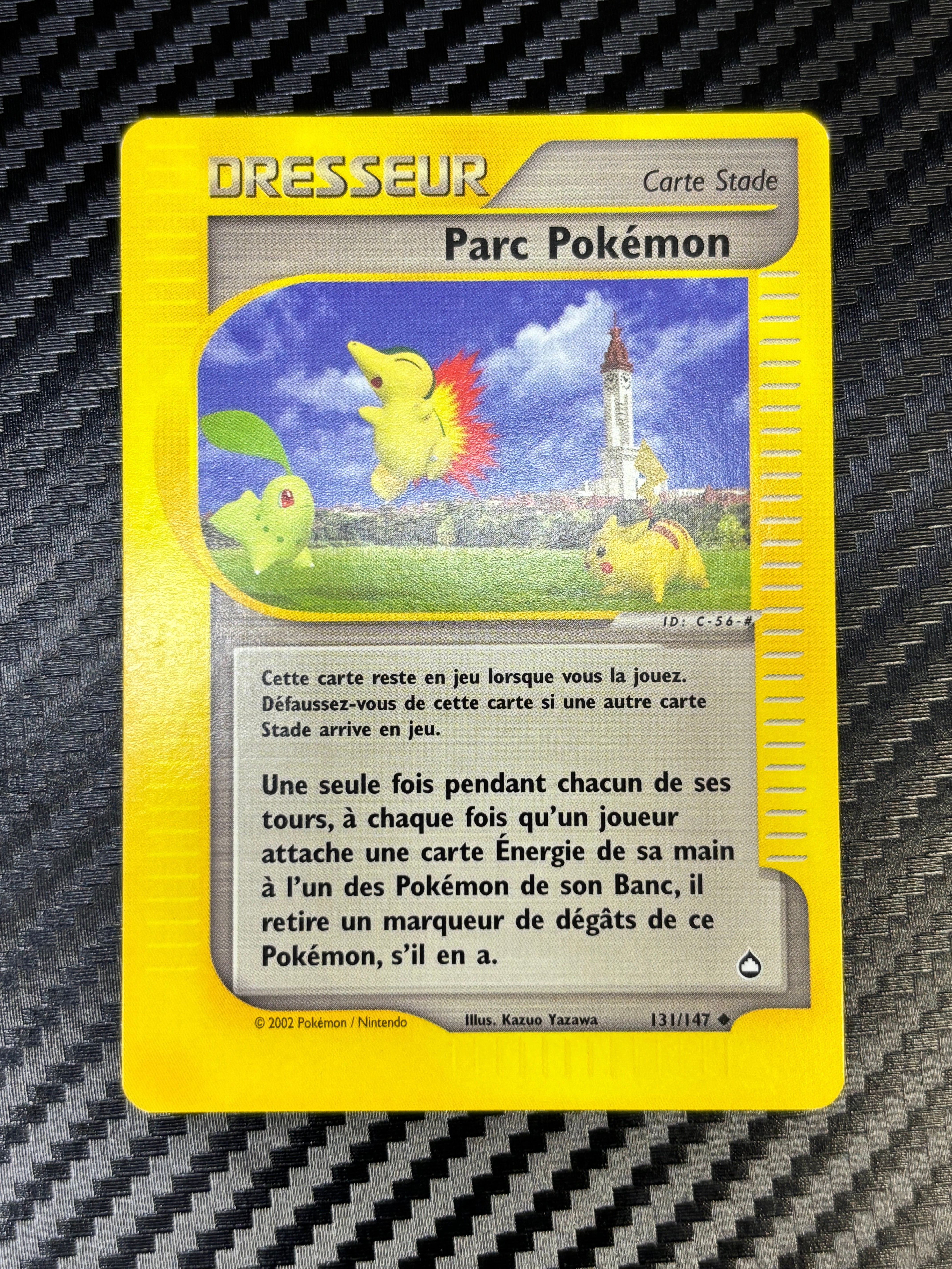 Parc Pokémon 131/147 - Aquapolis - NM