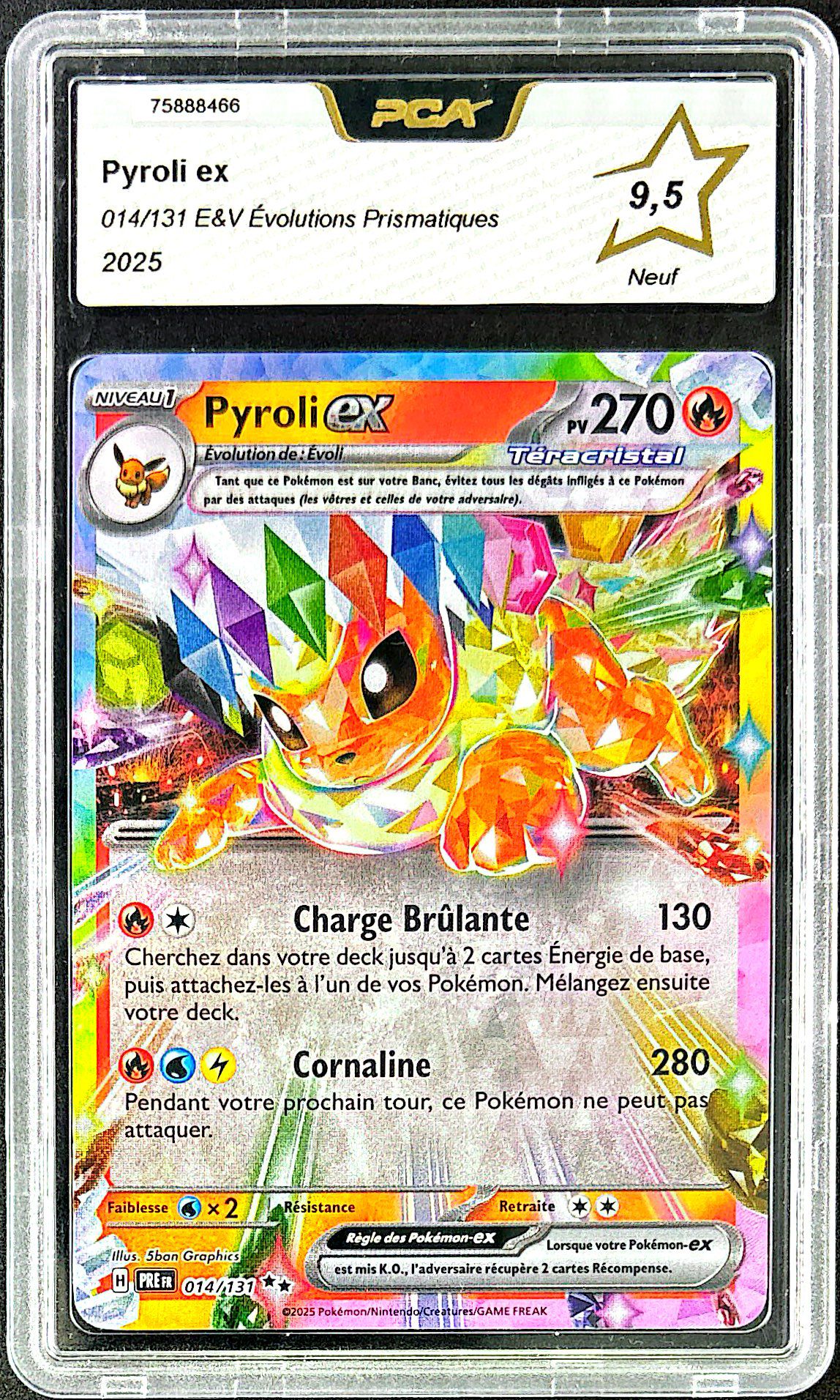 Pyroli EX 014/131 – PCA 9.5