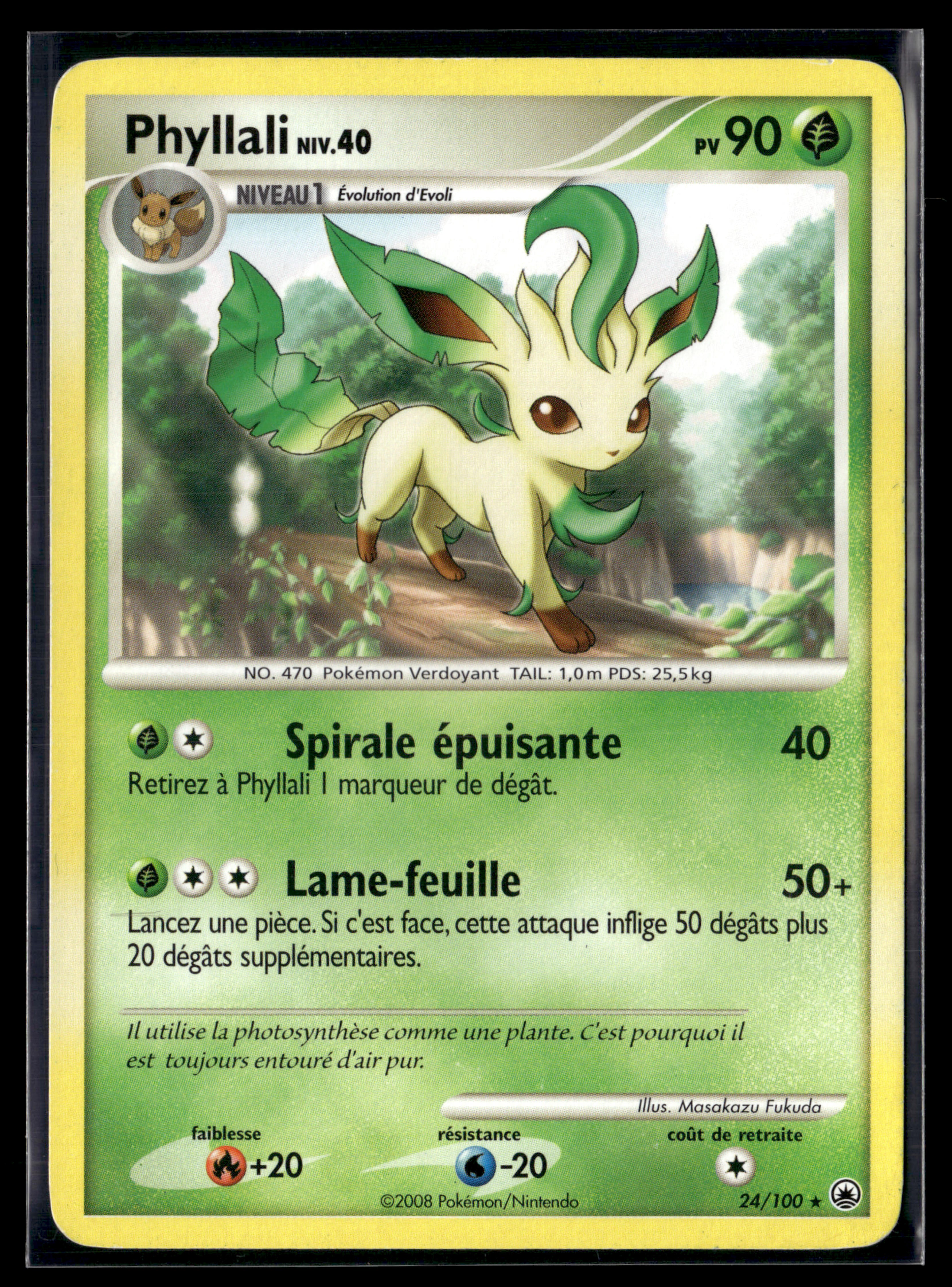 Phyllali 24/100 Aube majestueuse | EXC