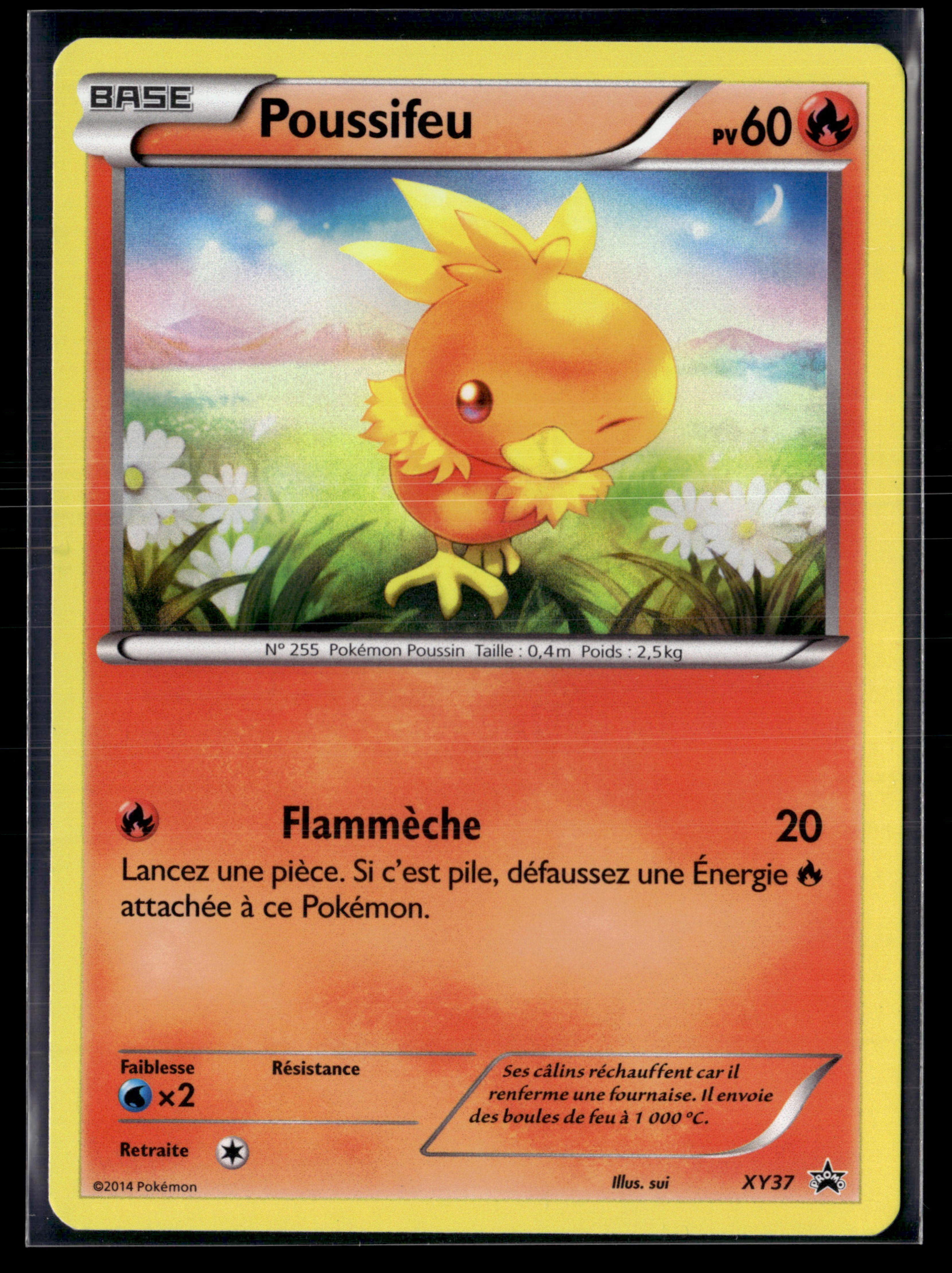 Poussifeu XY37 Promo Black Star | NM