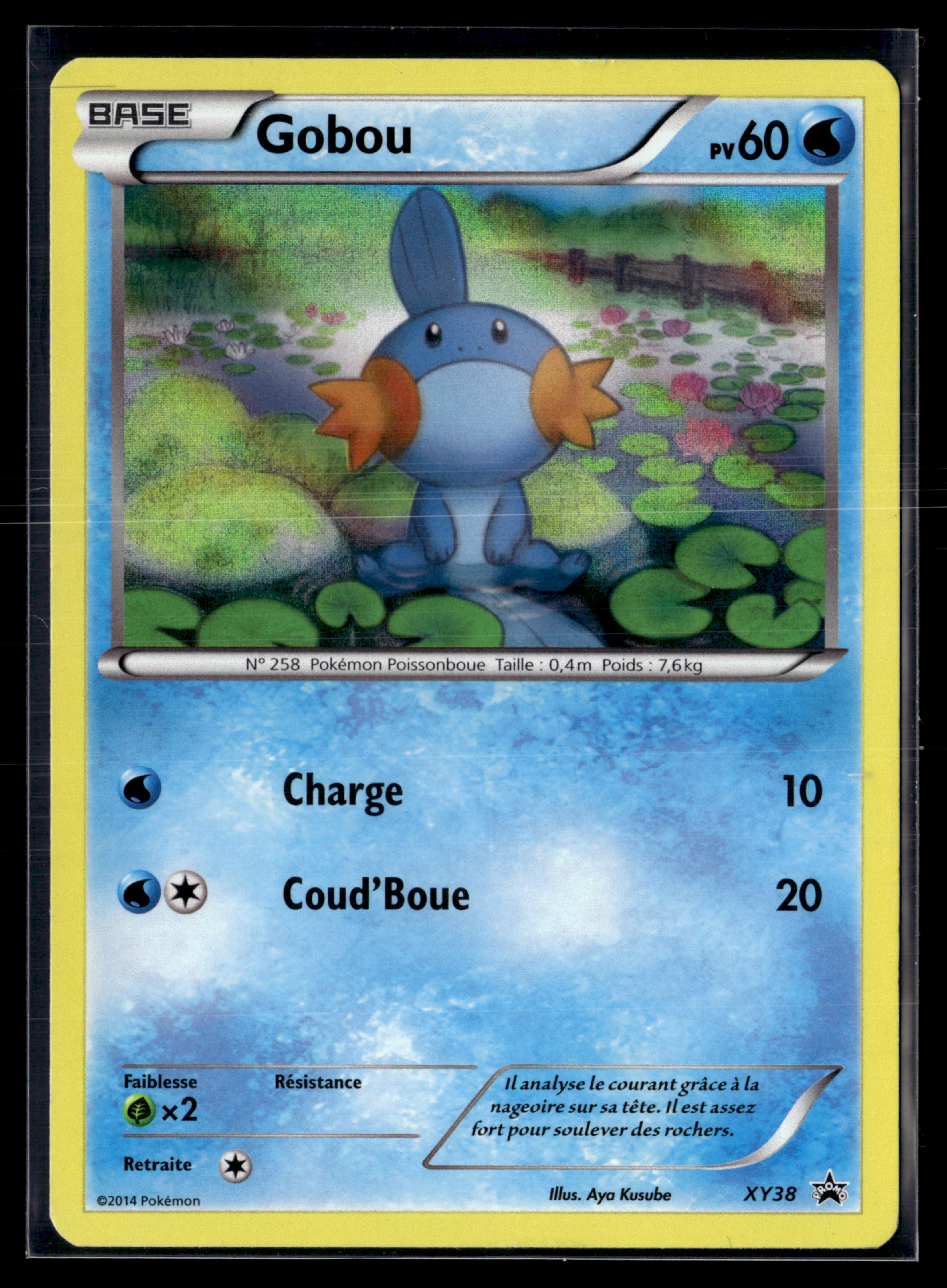 Gobou XY38 Promo Black Star | EXC+