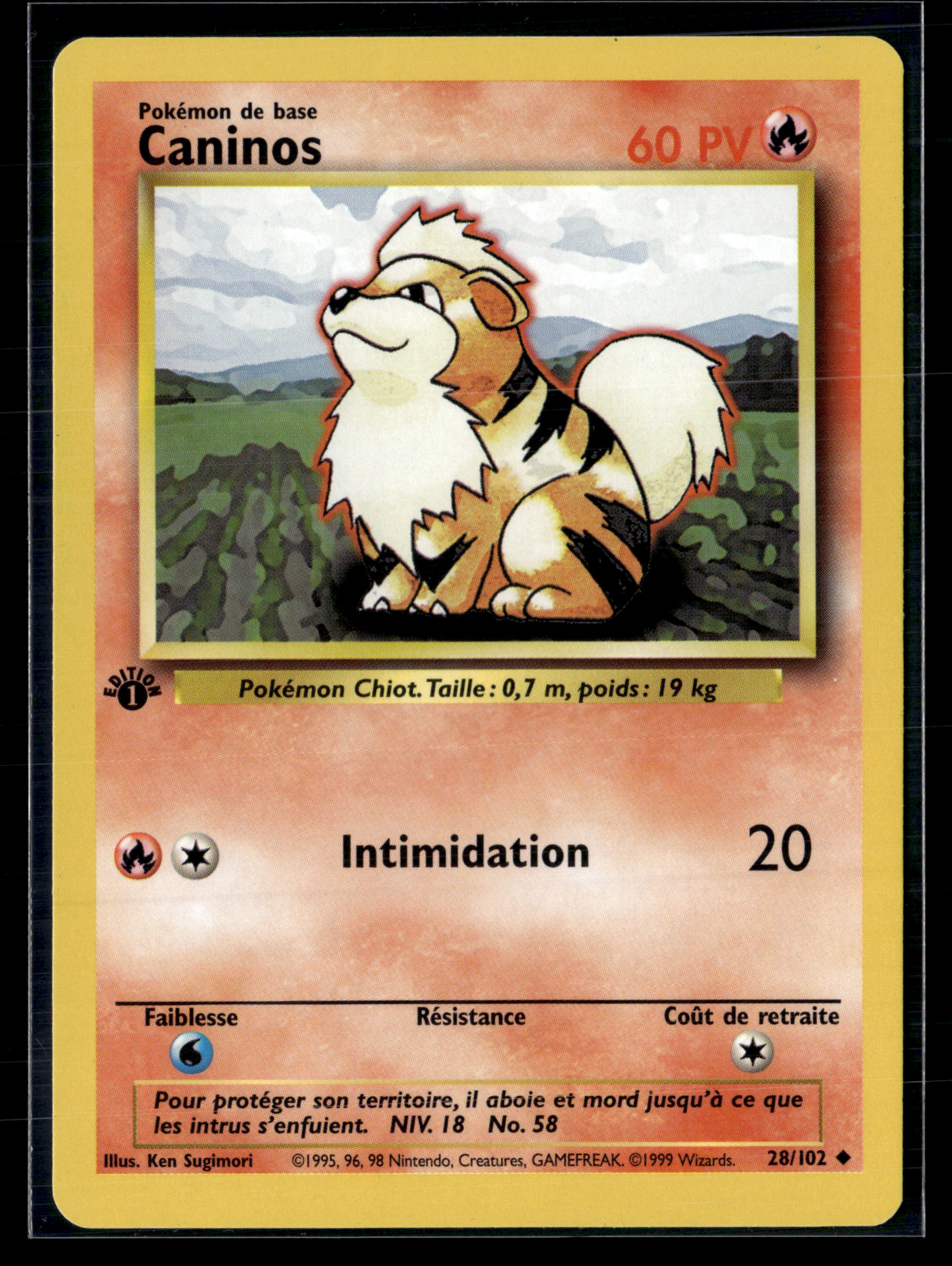 Caninos 28/102 Set de base ED1 – NM