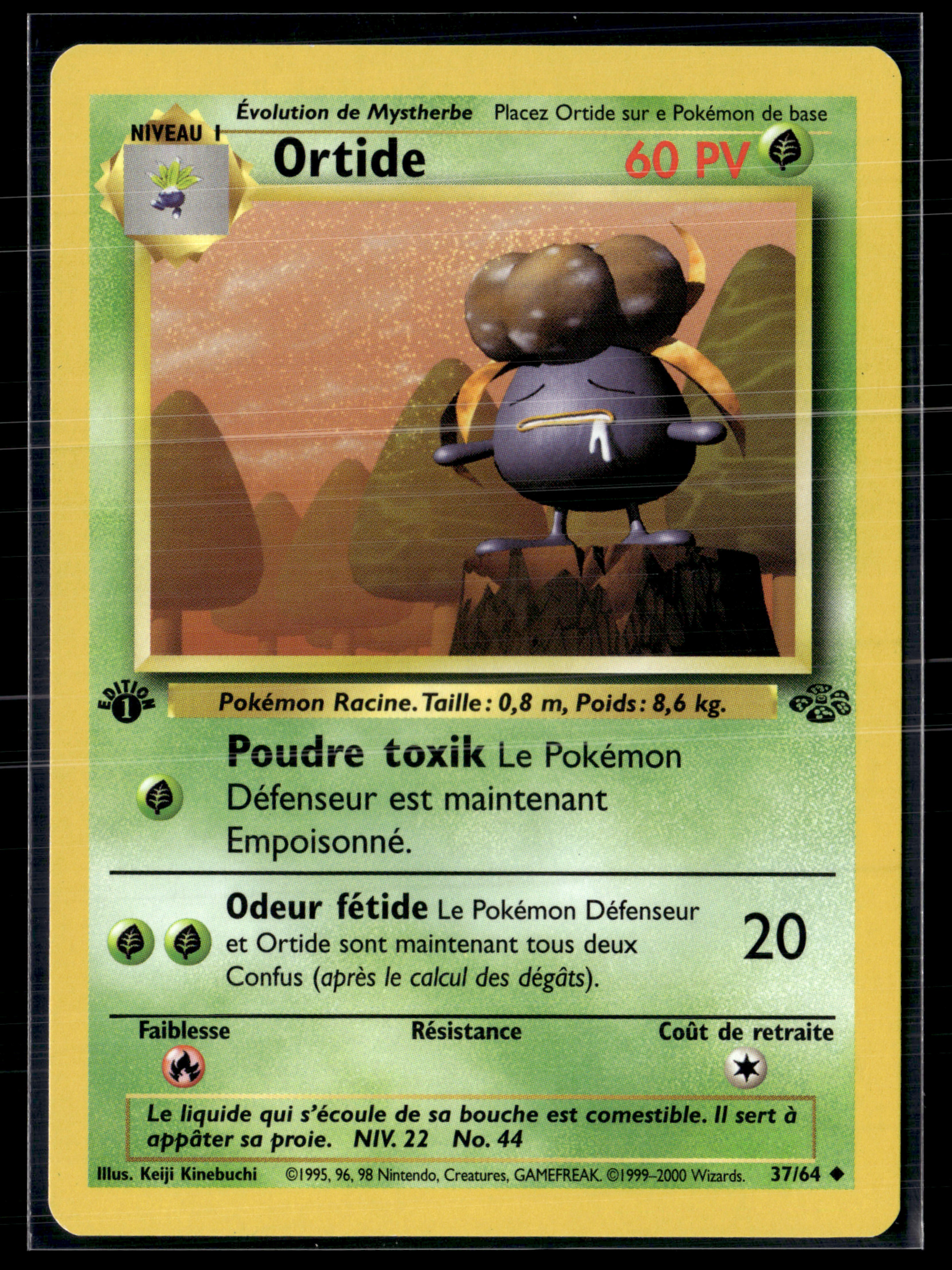 Ortide 37/64 Jungle Ed1 – NM