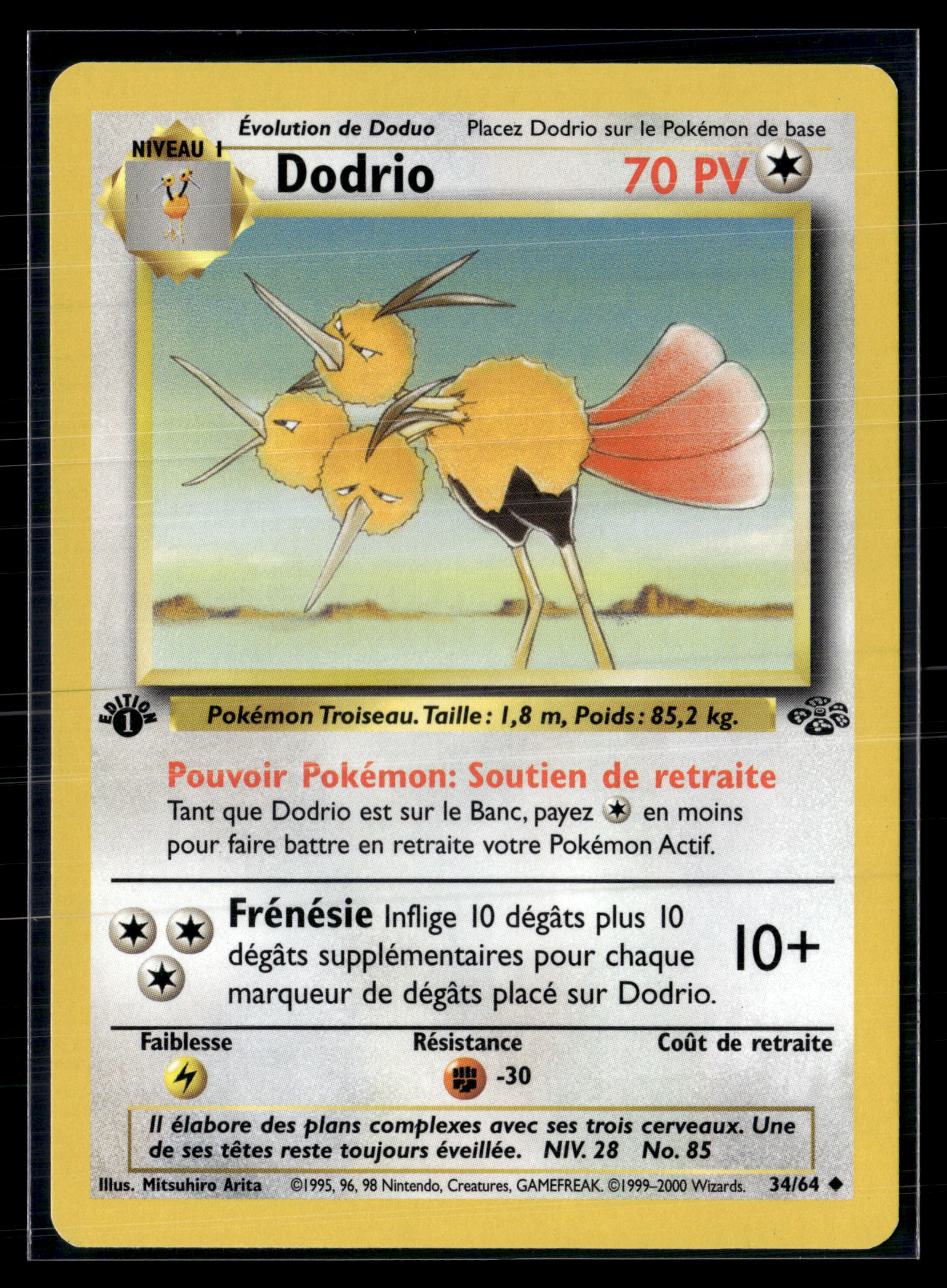 Dodrio 34/64 Jungle Ed1 – NM