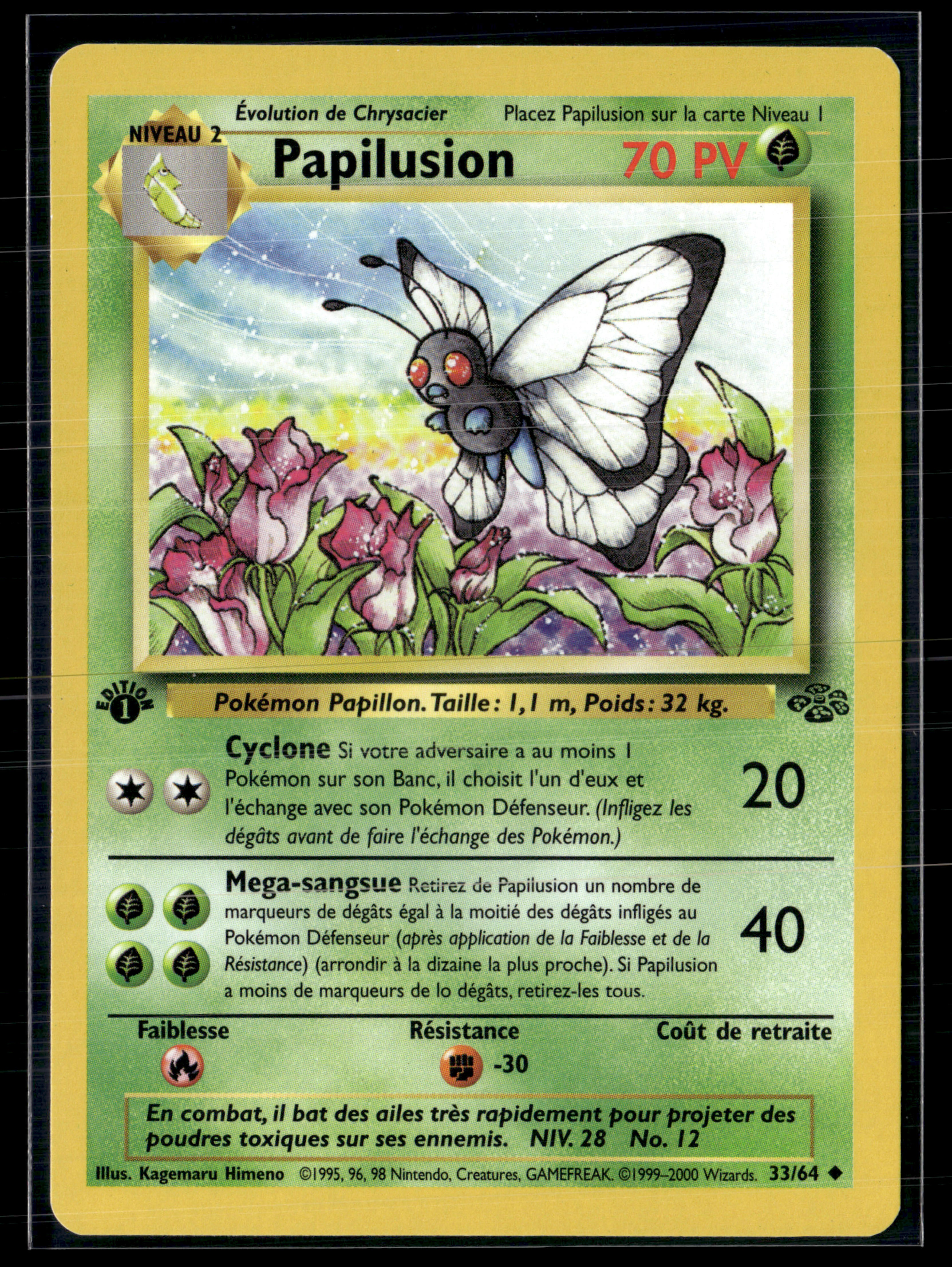 Papilusion 33/64 Jungle Ed1 - NM