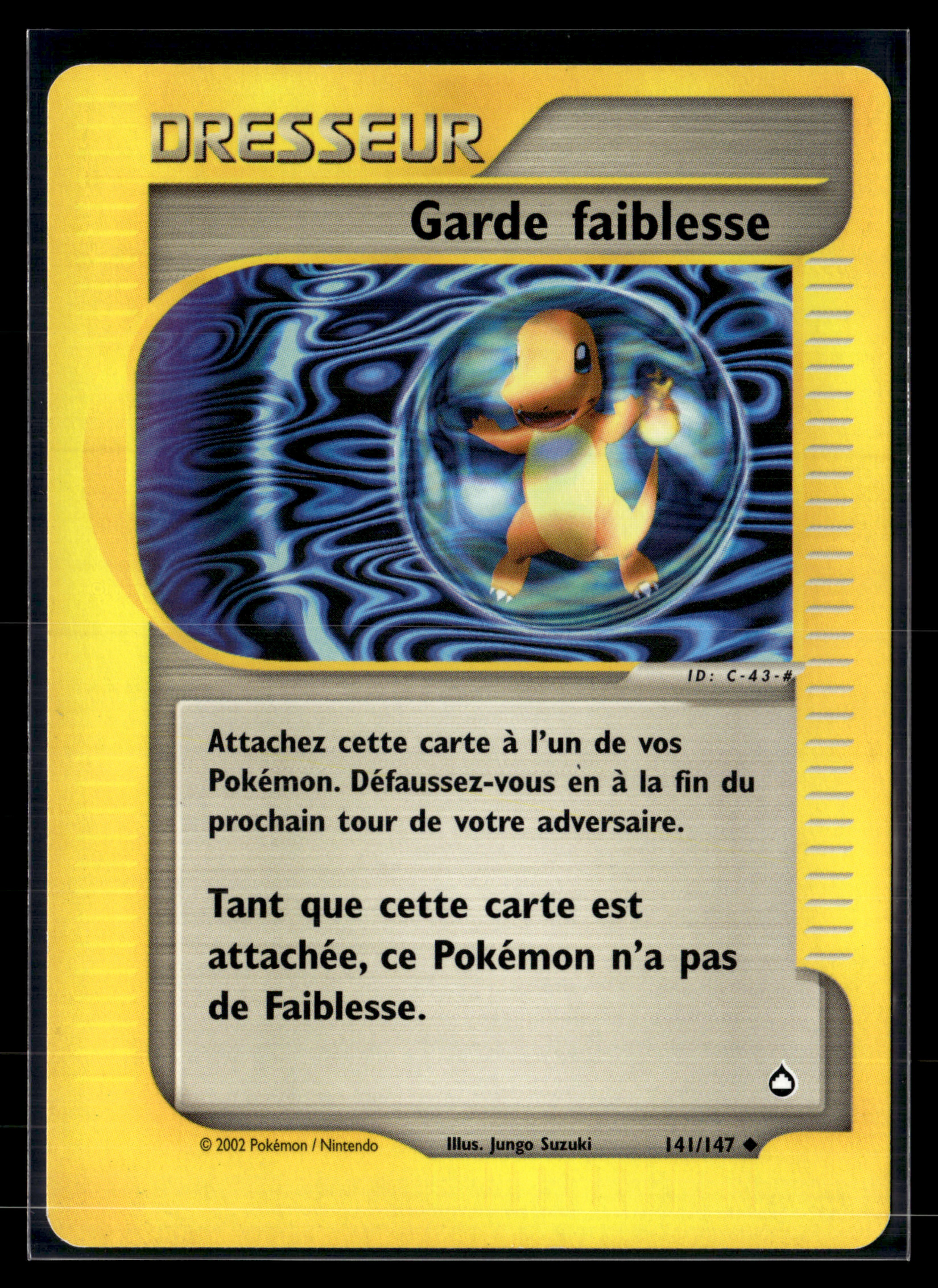 Garde faiblesse 141/147 - Aquapolis - NM