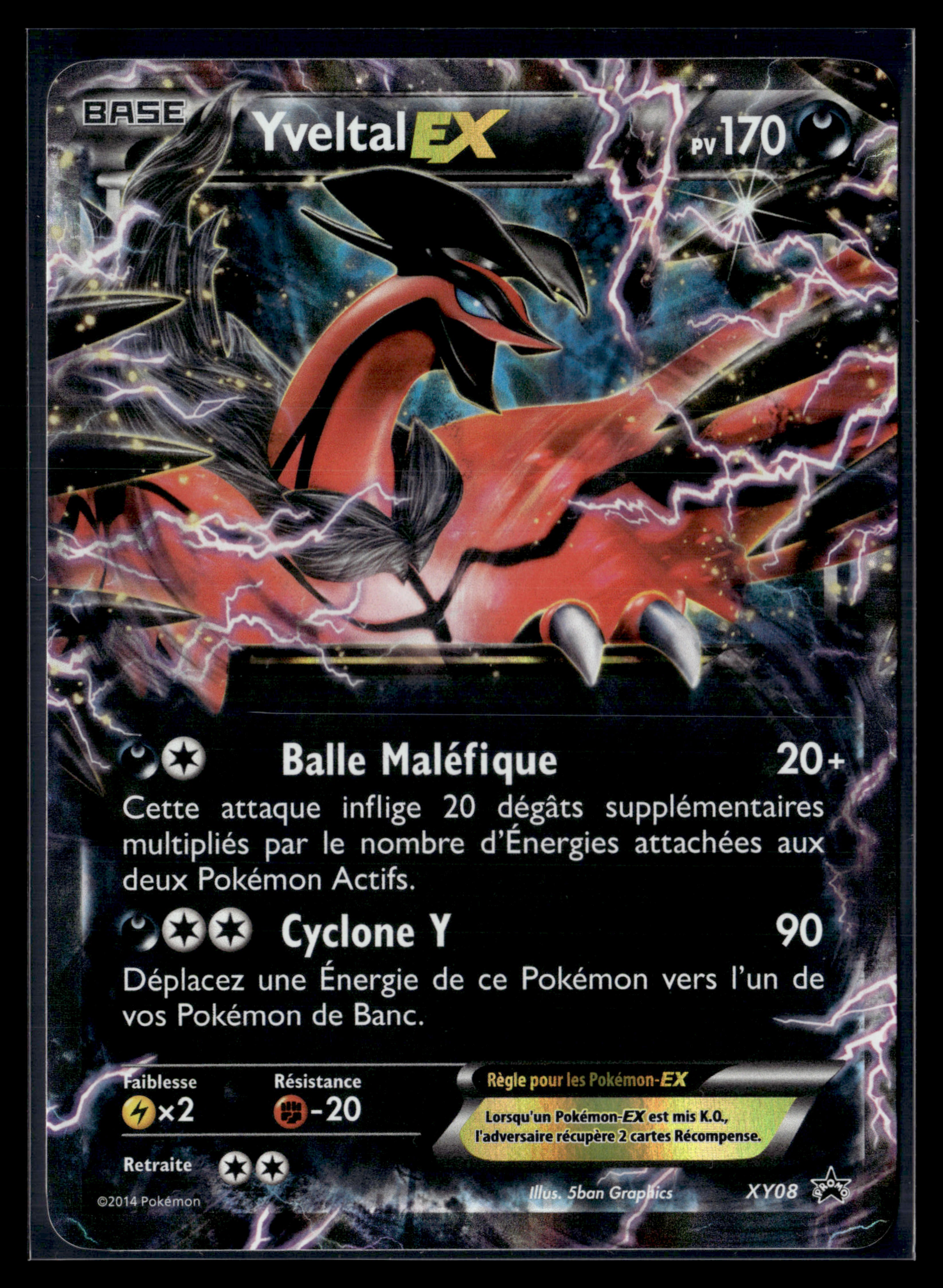 Yveltal XY08 - Promo - NM