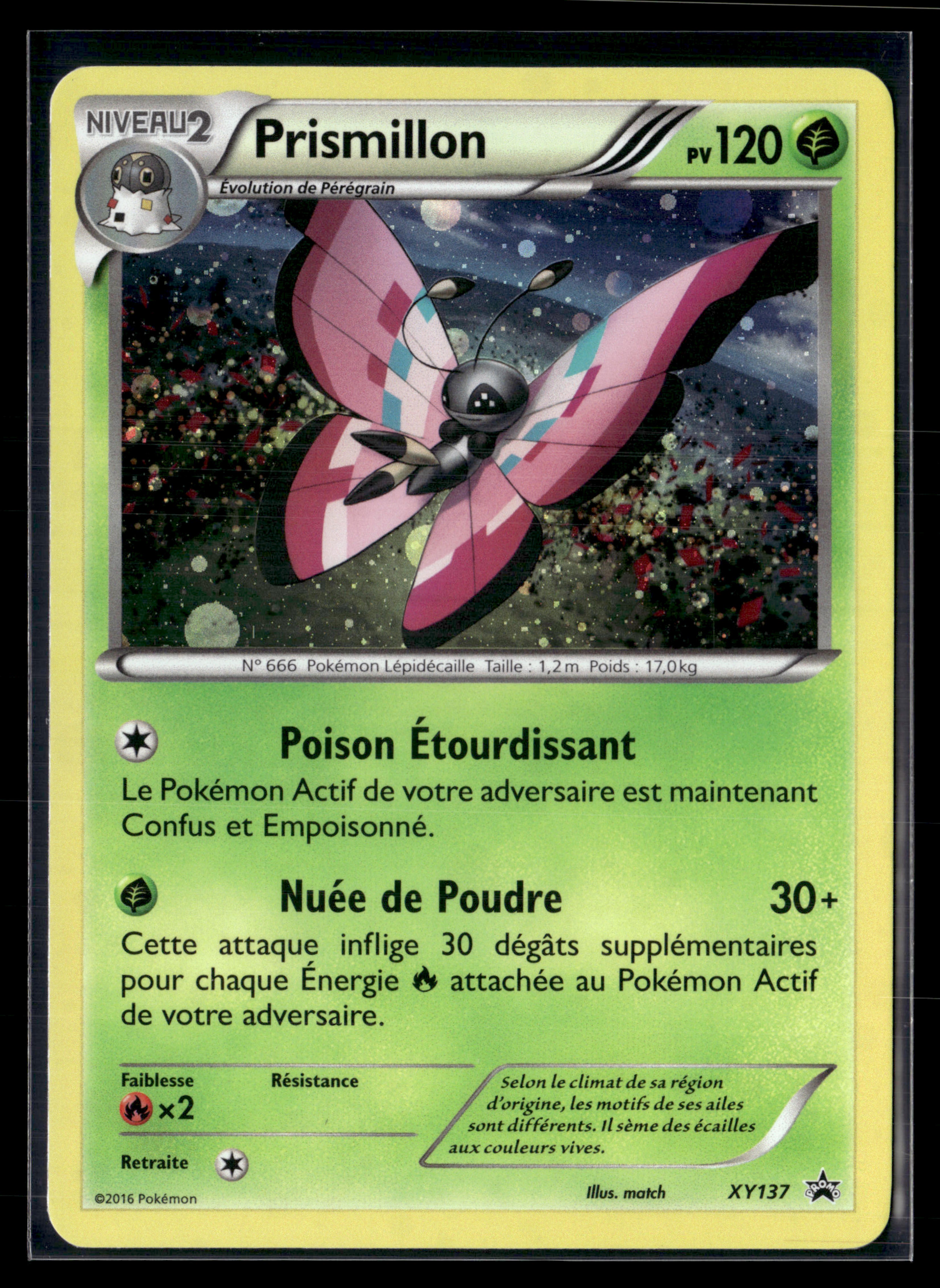 Prismillon XY137 - MINT