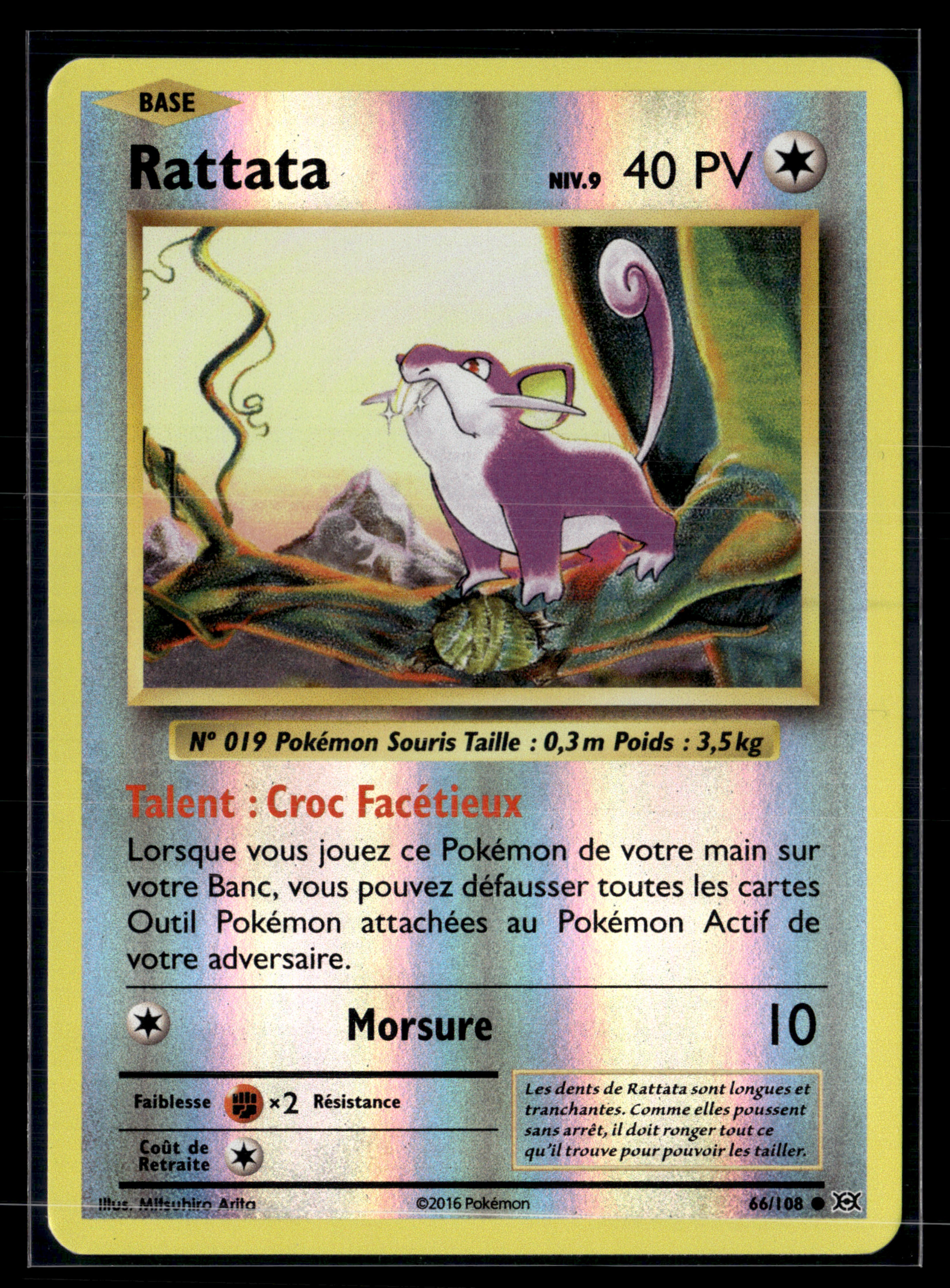 Rattata 66/108 Evolutions – NM