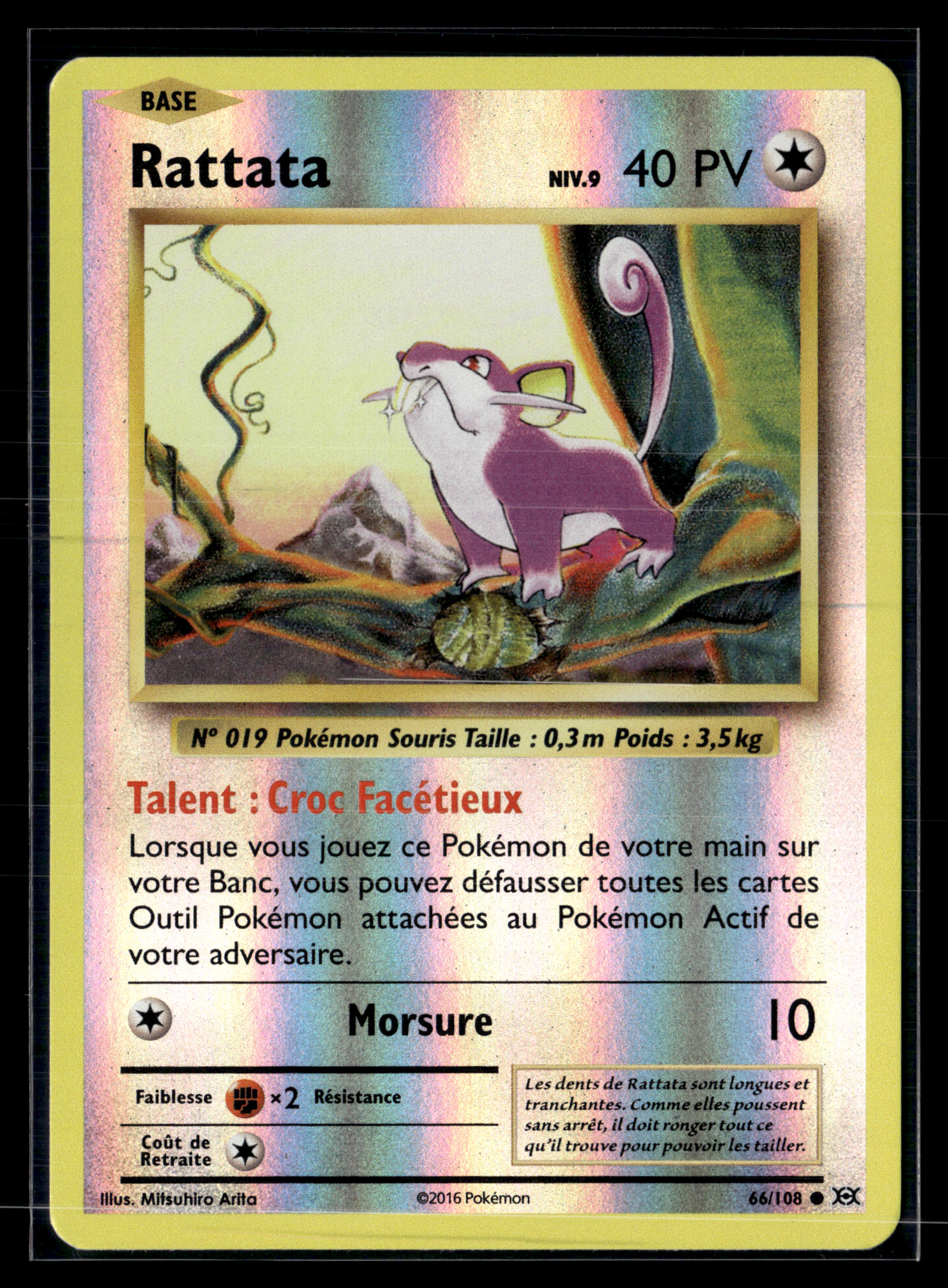 Rattata 66/108 XY évolutions – NM