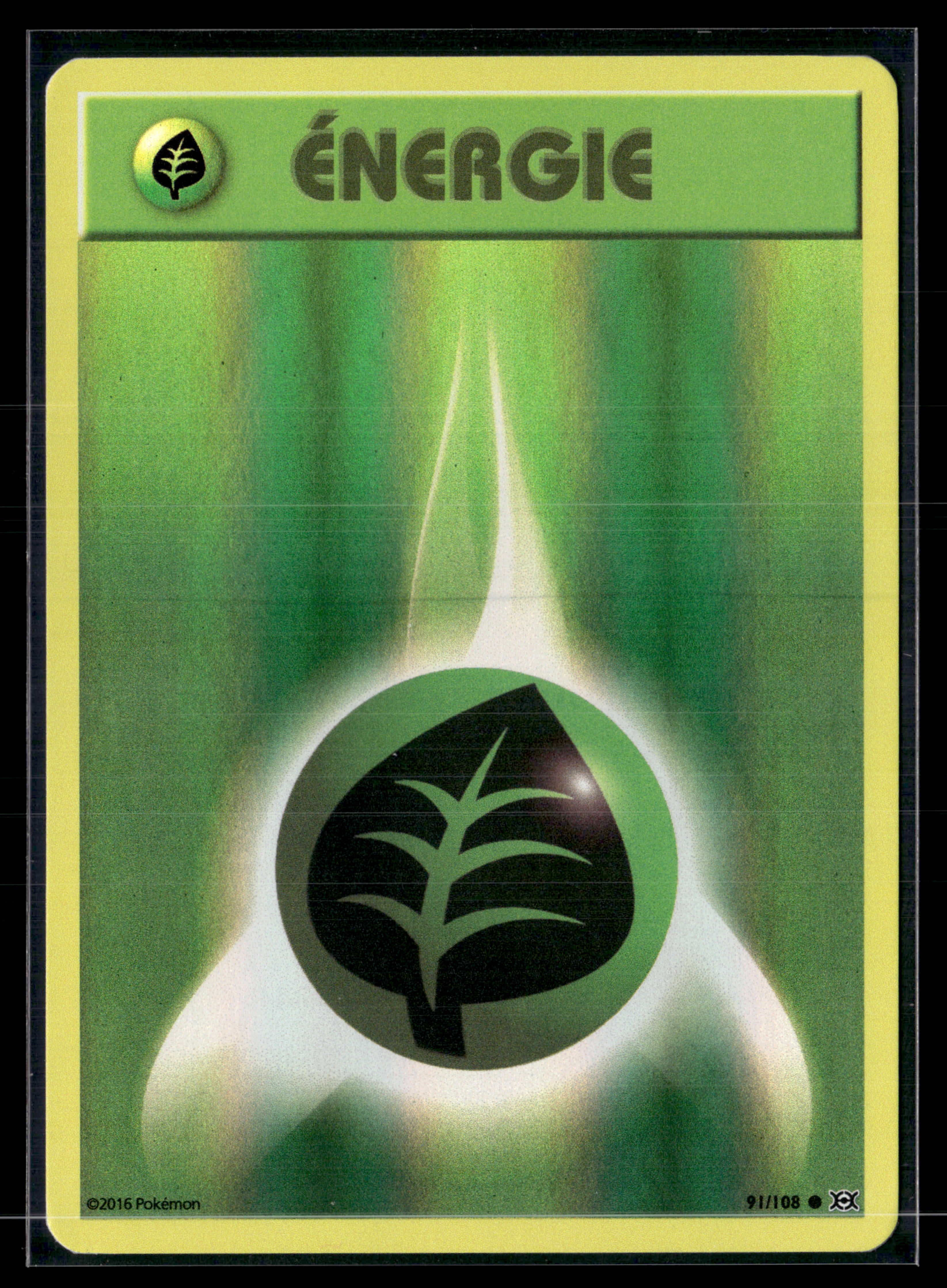 Energie plante 91/108 XY évolutions – NM