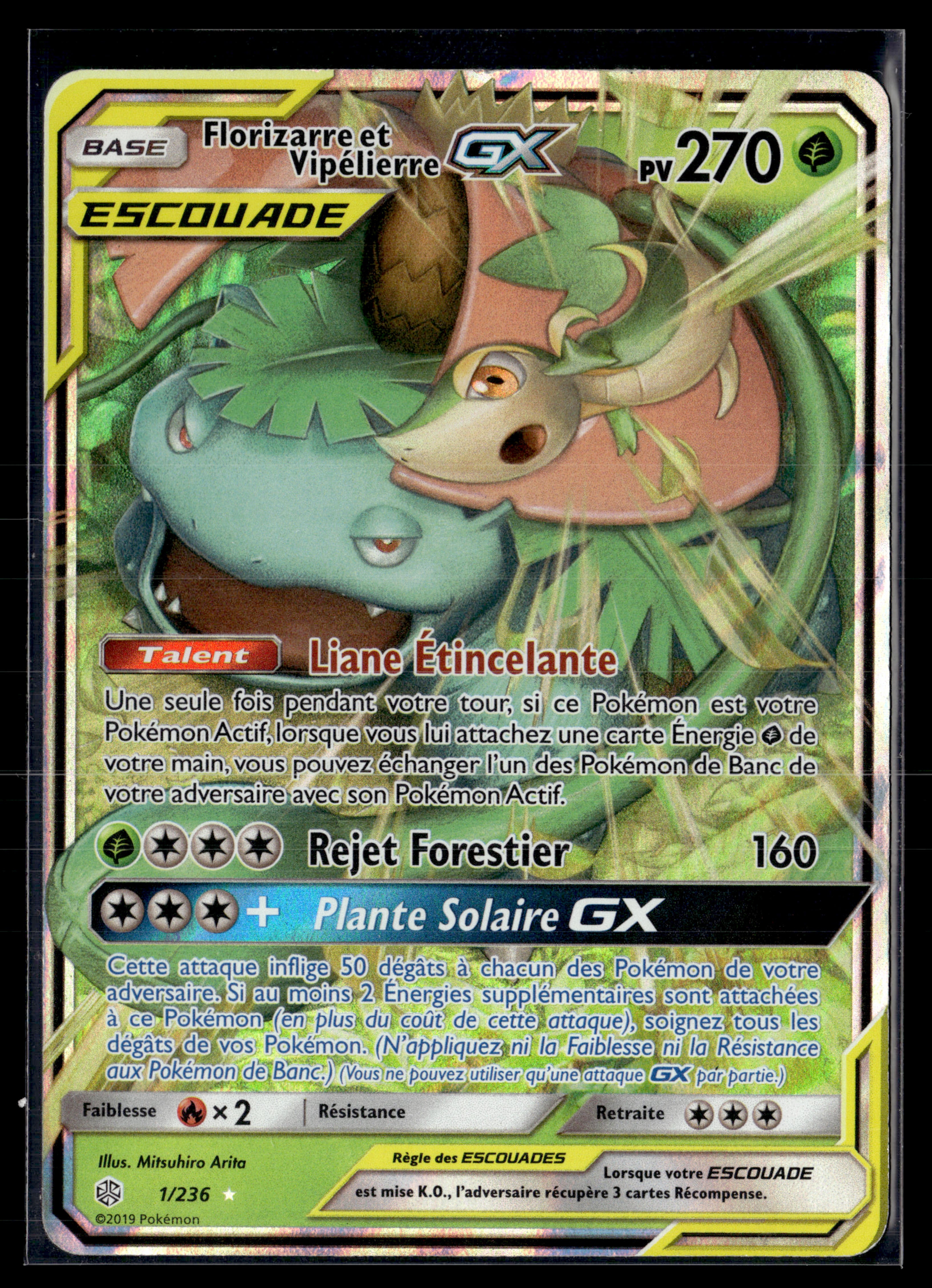 Florizarre et Vipelierre 1/236 Eclispe cosmique – EXC+
