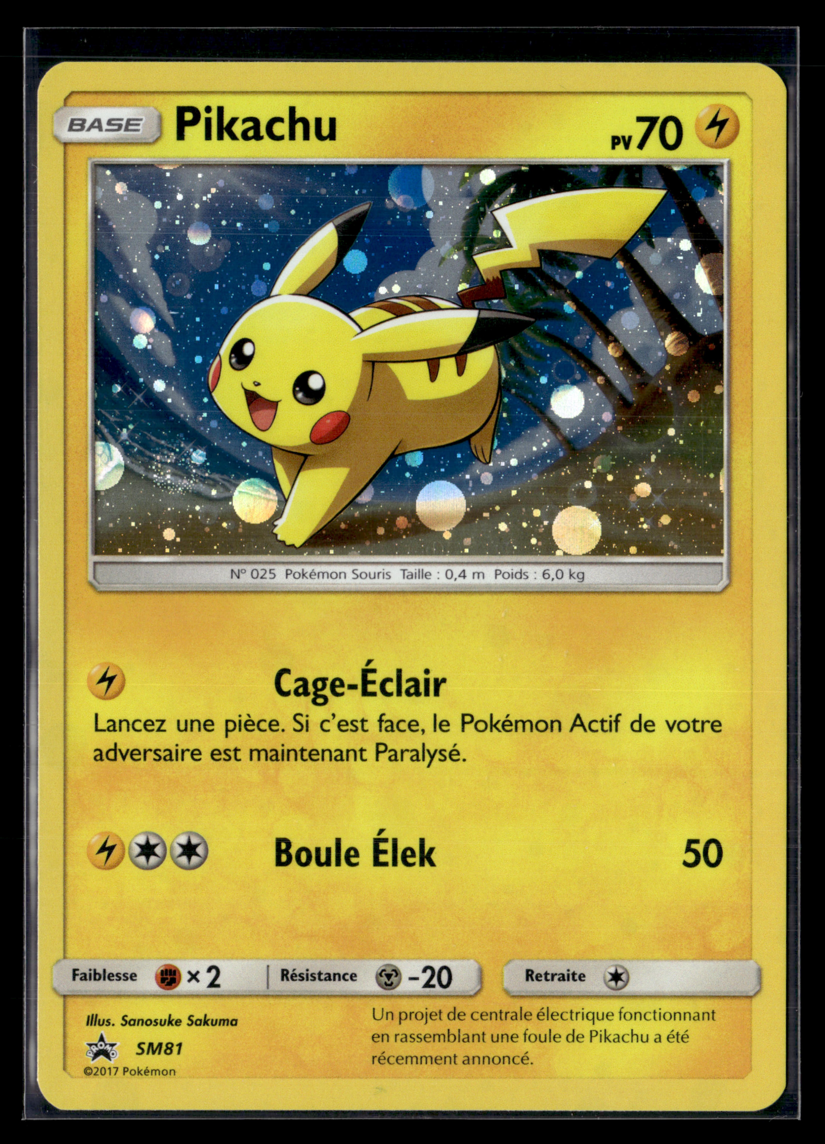 Pikachu SM81 | NM