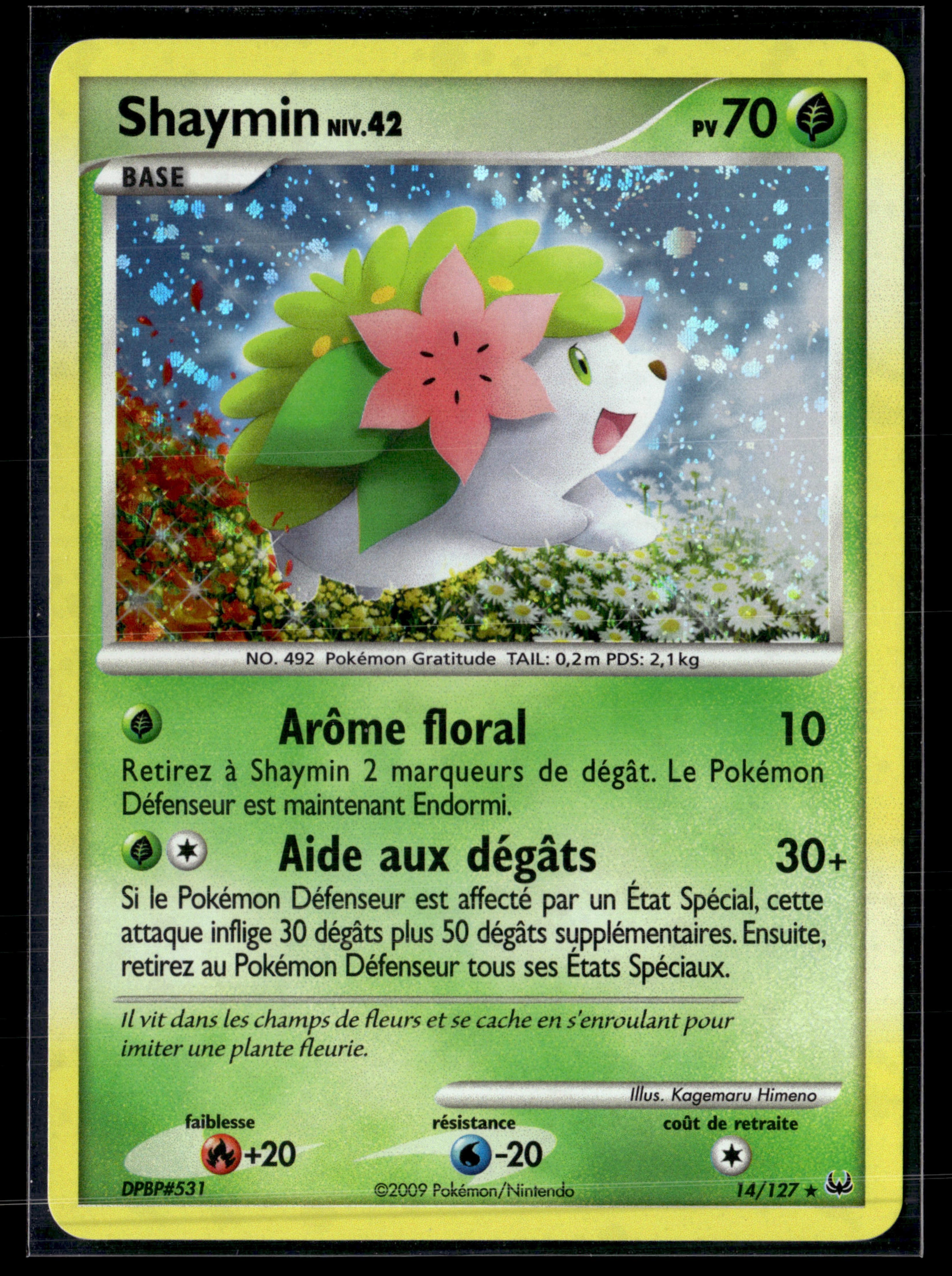 Shaymin 14/127 Platine | NM