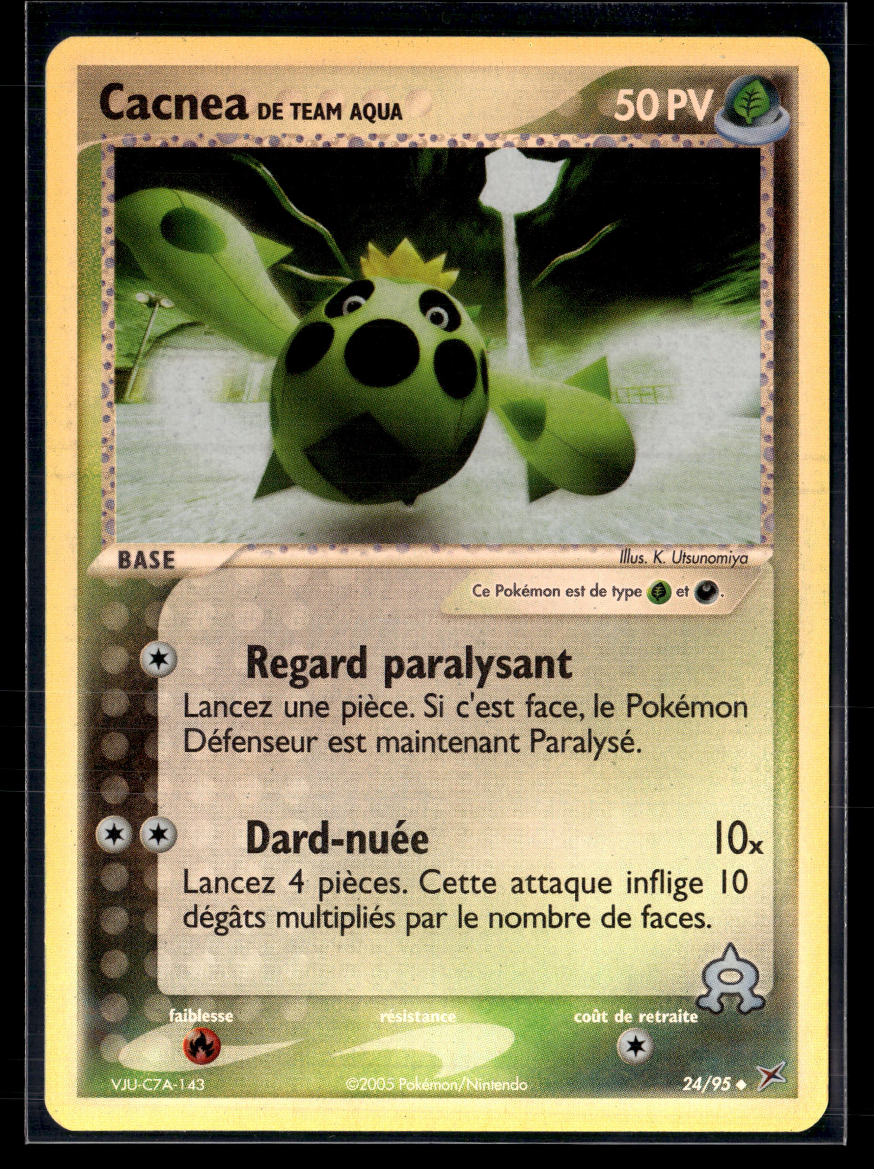 Cacnea 24/95 TMTA | NM