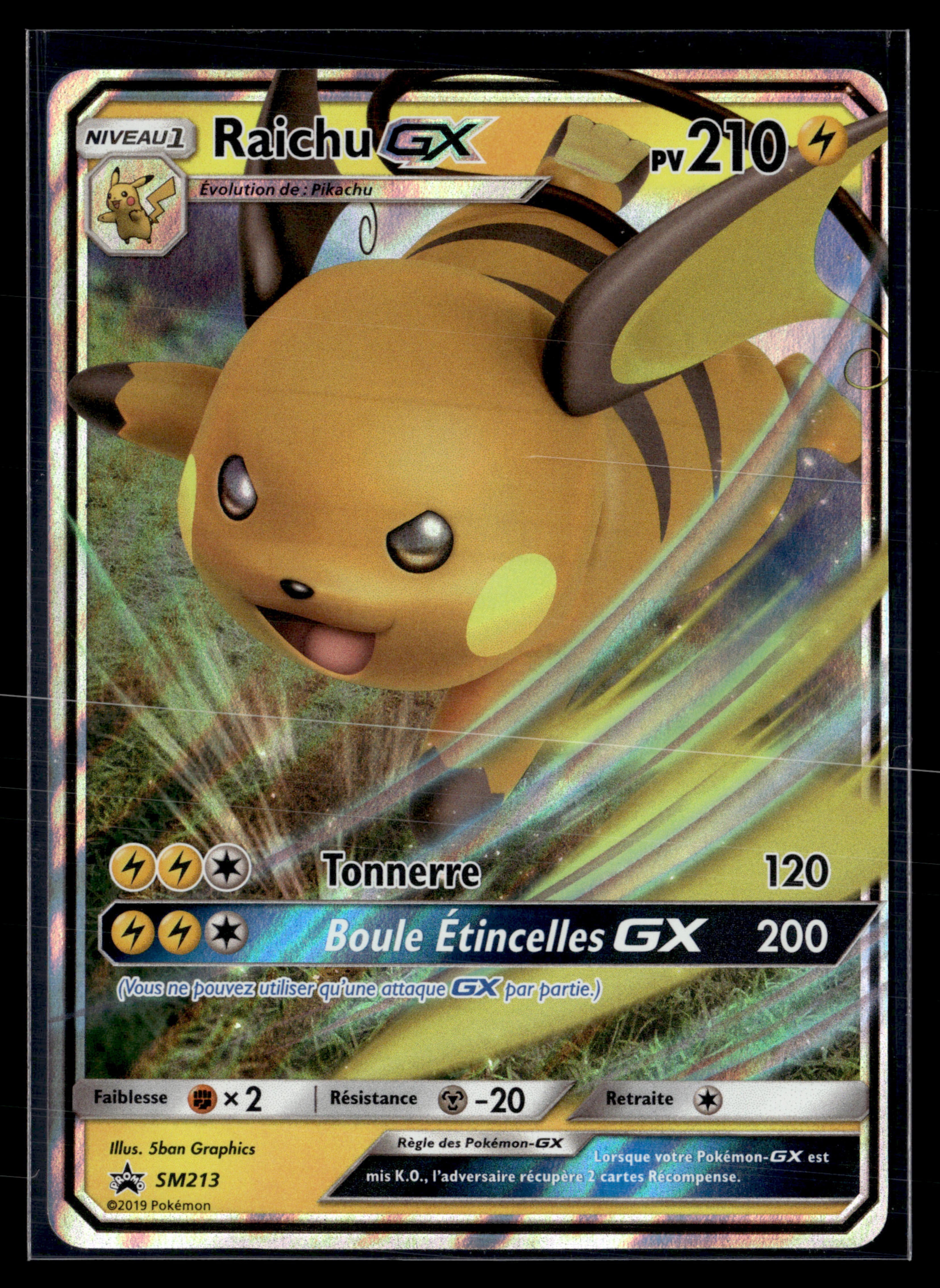 Raichu SM213 | NM #2