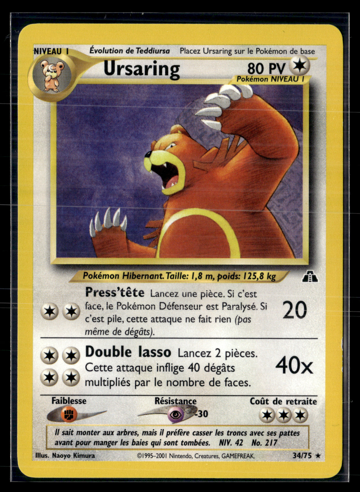 Ursaring 34/75 - Neo Discovery - NM