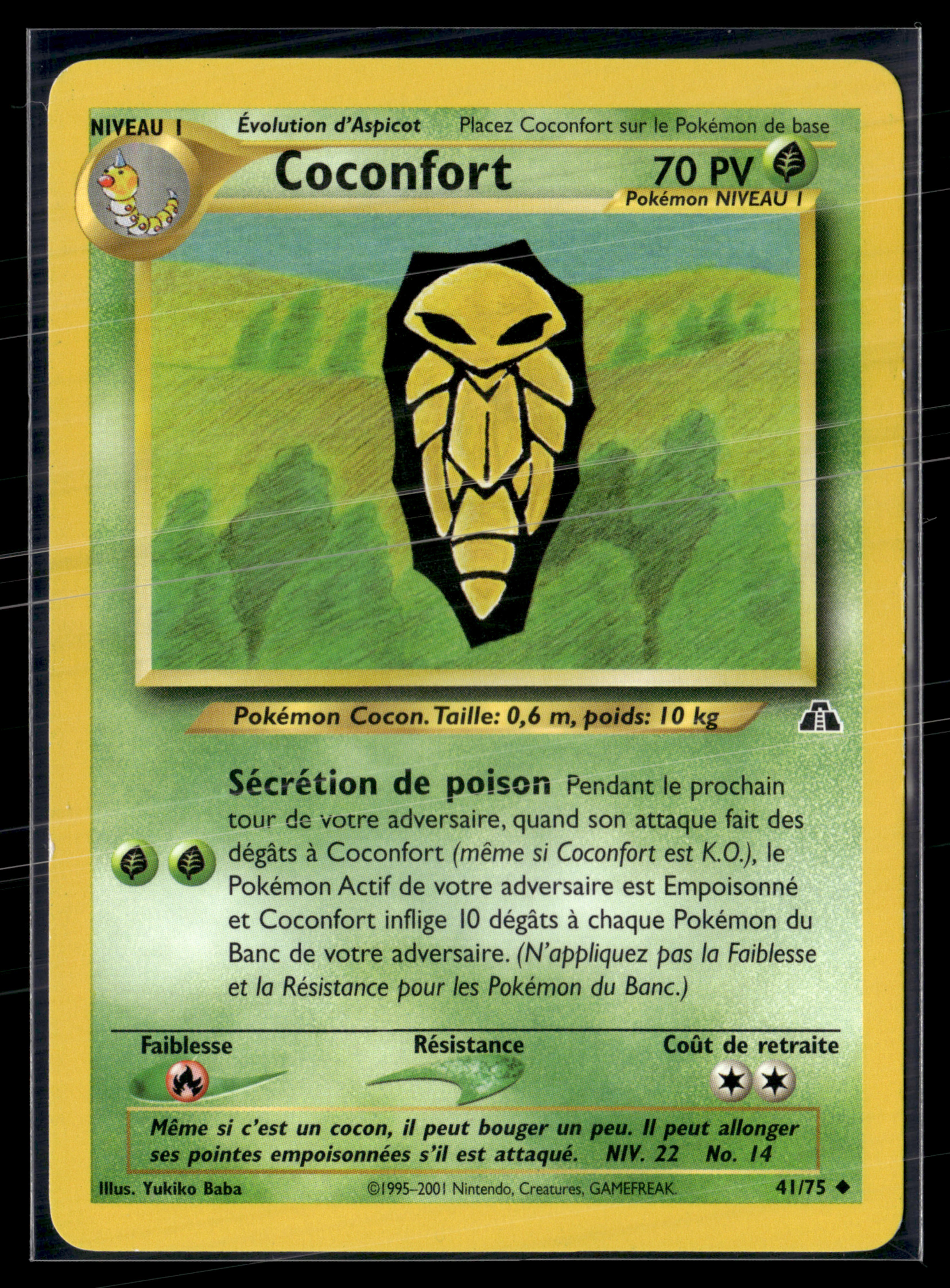 Coconfort 41/75 - Neo Discovery - NM
