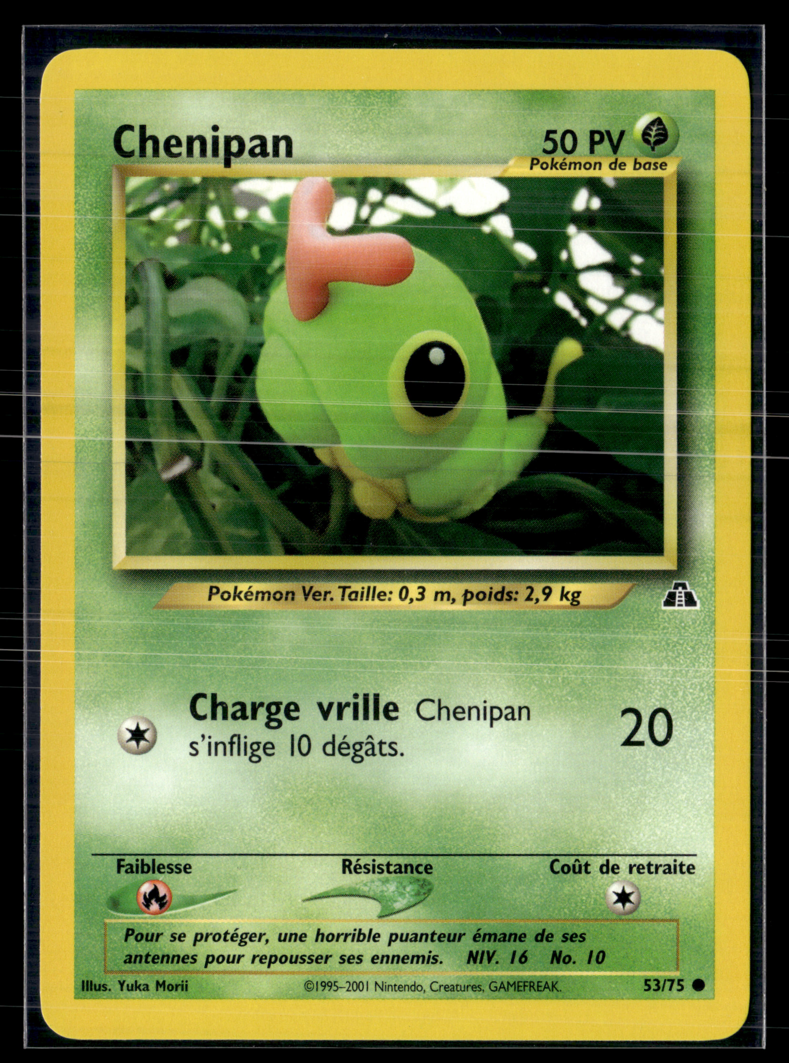 Chenipan 53/75 - Neo Discovery - NM