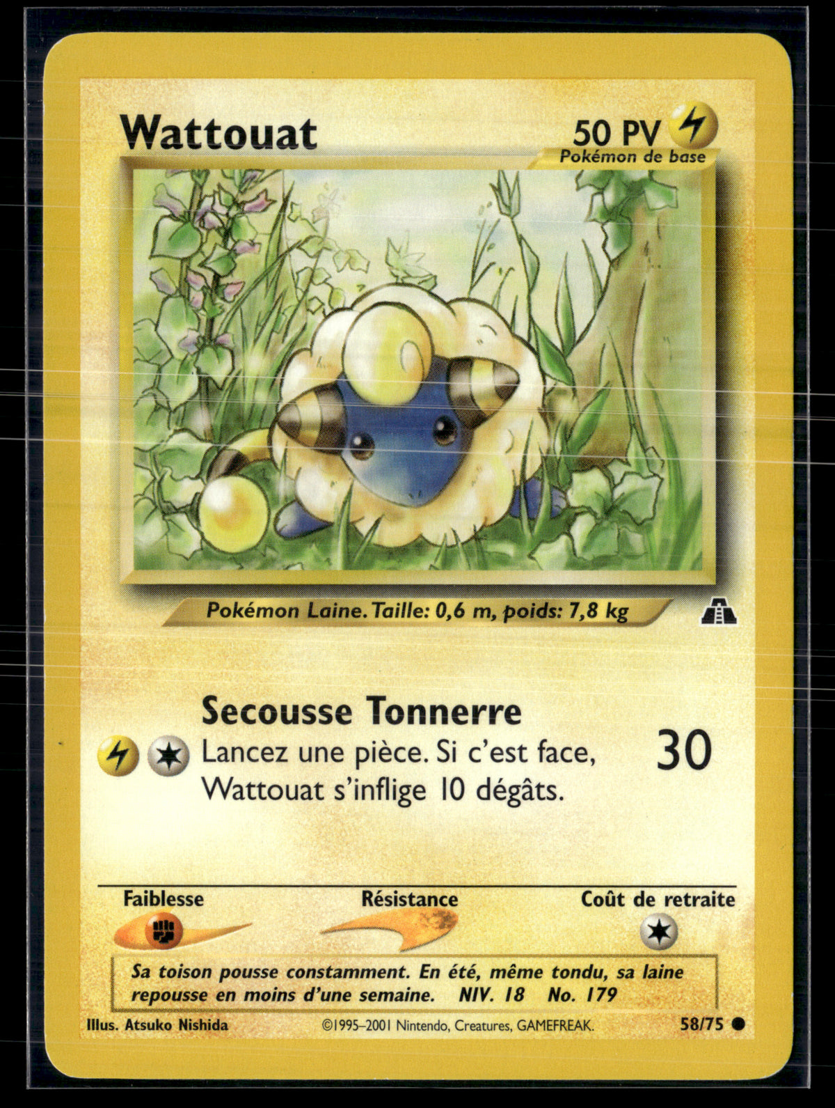 Wattouat 58/75 - Neo Discovery - NM