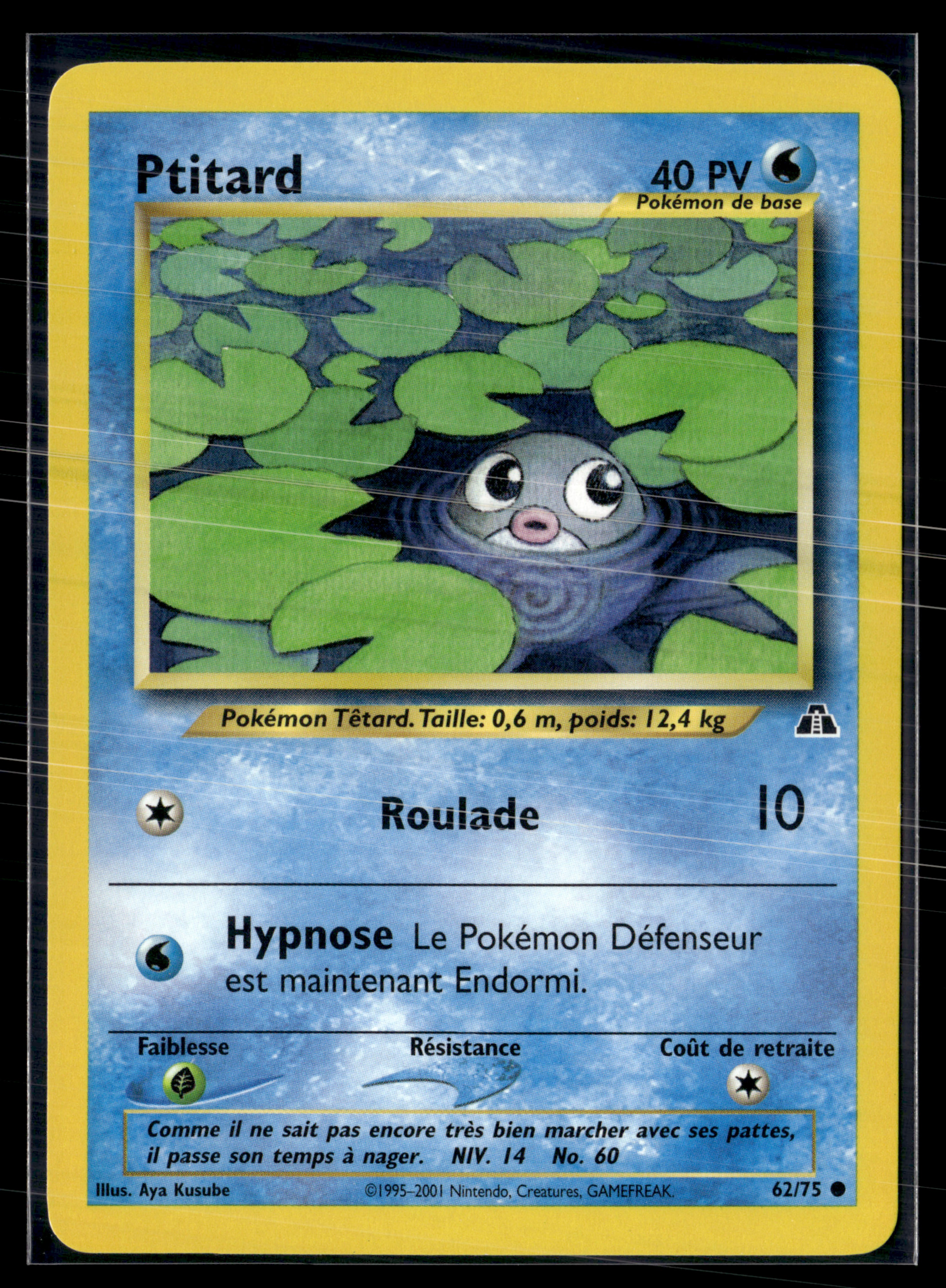 Ptitard 62/75 - Neo Discovery - NM