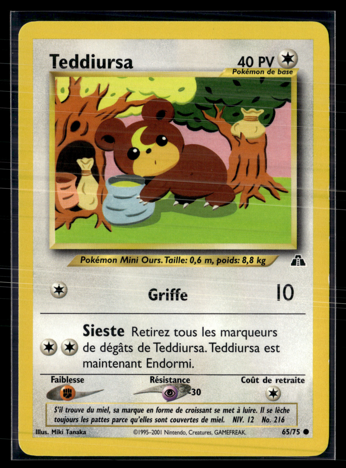 Teddiursa 65/75 - Neo  - Neo Discovery - NM