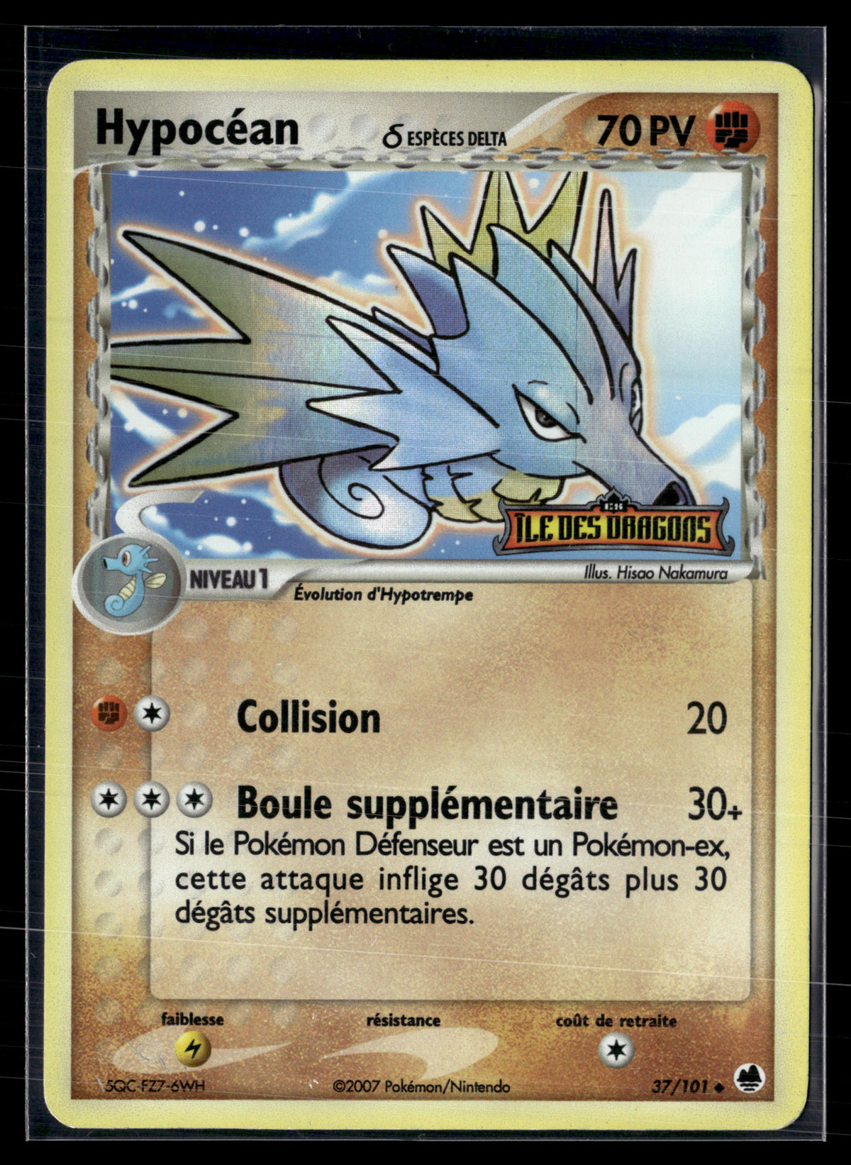 Hypocean 37/101 – ile des dragons | EXC